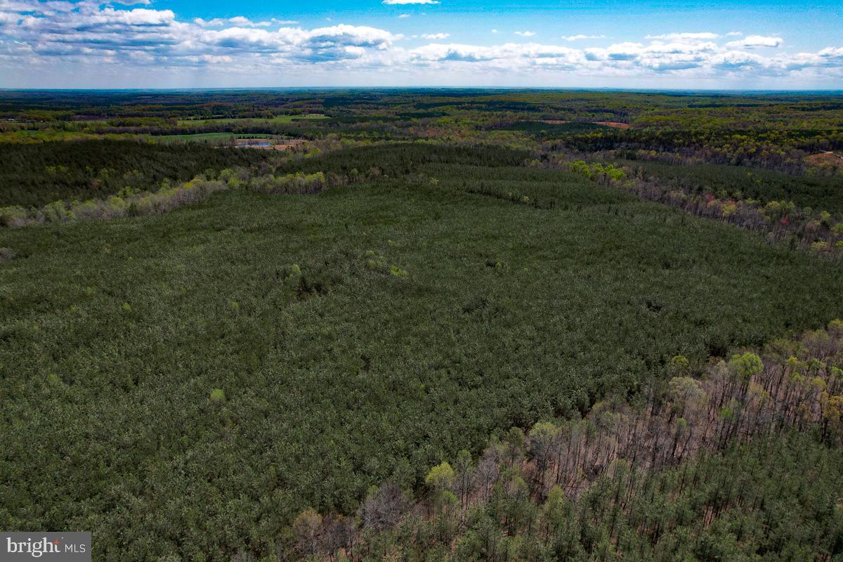 0 GILLIAM MILL RD, DILLWYN, Virginia 23936, ,Farm,For Sale,0 GILLIAM MILL RD,VABH2000238 MLS # VABH2000238