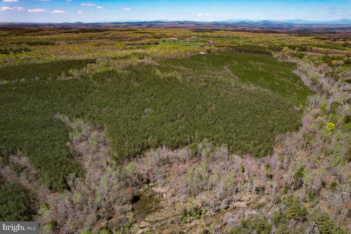 0 GILLIAM MILL RD, DILLWYN, Virginia 23936, ,Farm,For Sale,0 GILLIAM MILL RD,VABH2000238 MLS # VABH2000238