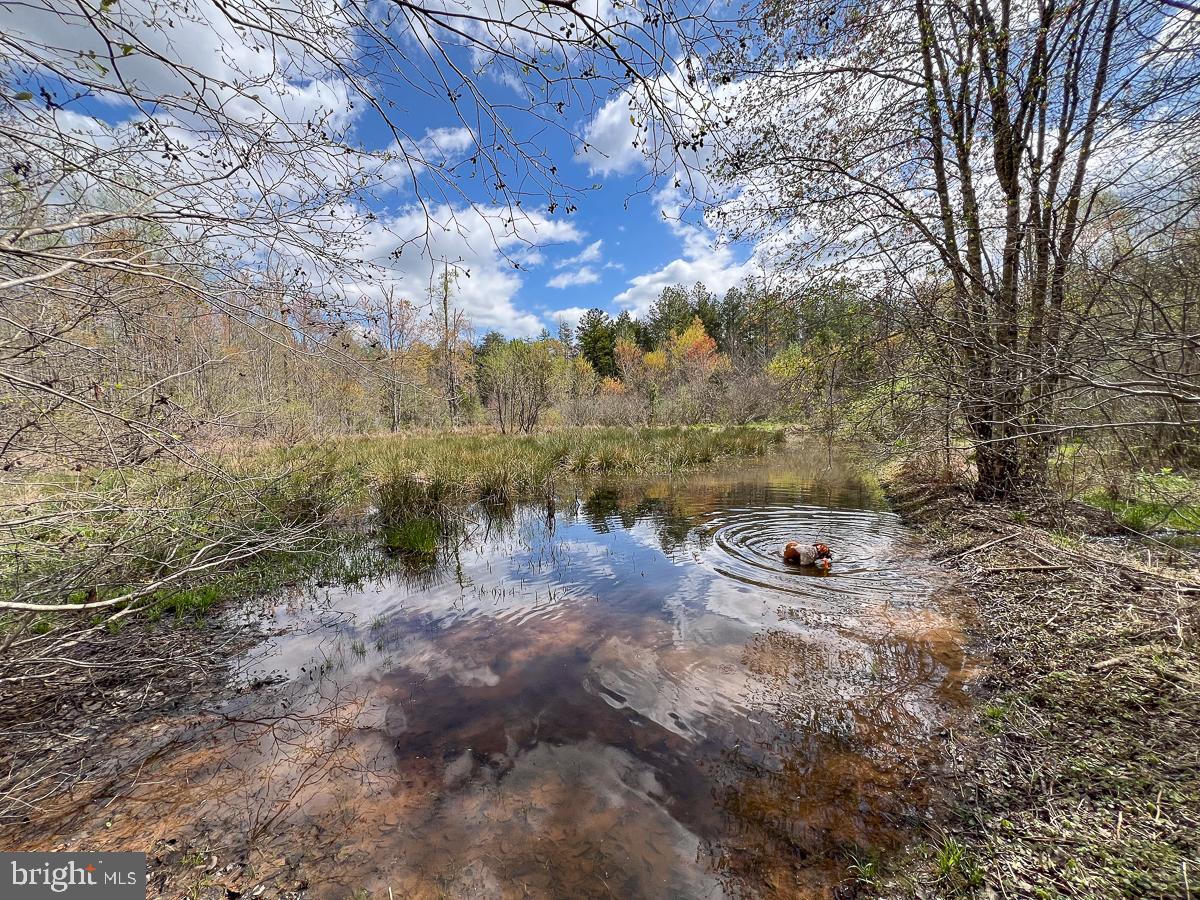 0 GILLIAM MILL RD, DILLWYN, Virginia 23936, ,Farm,For Sale,0 GILLIAM MILL RD,VABH2000238 MLS # VABH2000238