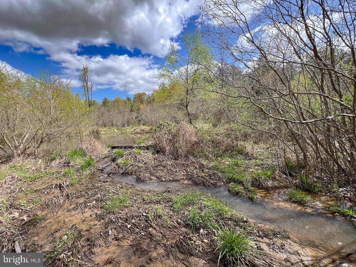 0 GILLIAM MILL RD, DILLWYN, Virginia 23936, ,Farm,For Sale,0 GILLIAM MILL RD,VABH2000238 MLS # VABH2000238