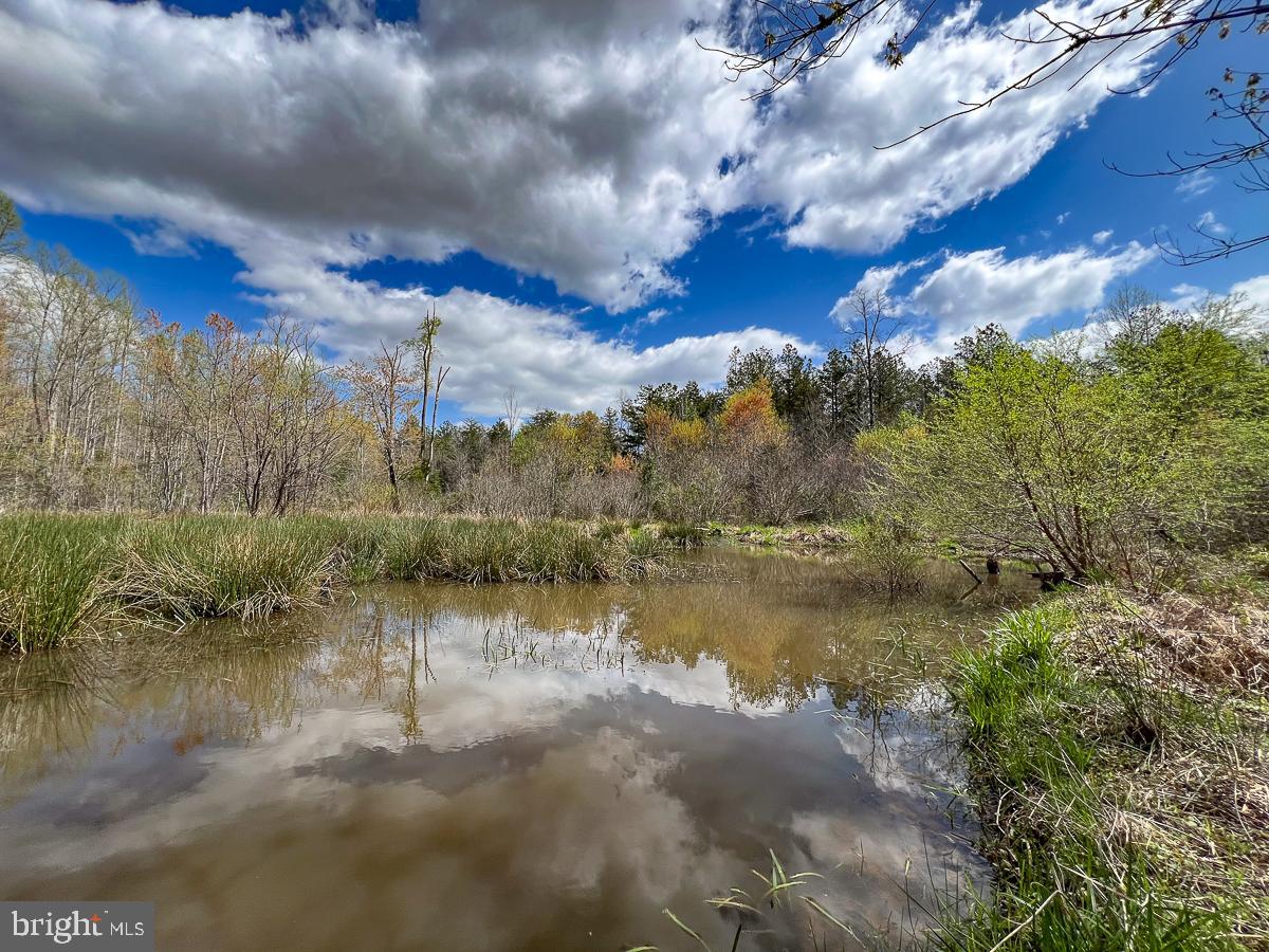 0 GILLIAM MILL RD, DILLWYN, Virginia 23936, ,Farm,For Sale,0 GILLIAM MILL RD,VABH2000238 MLS # VABH2000238