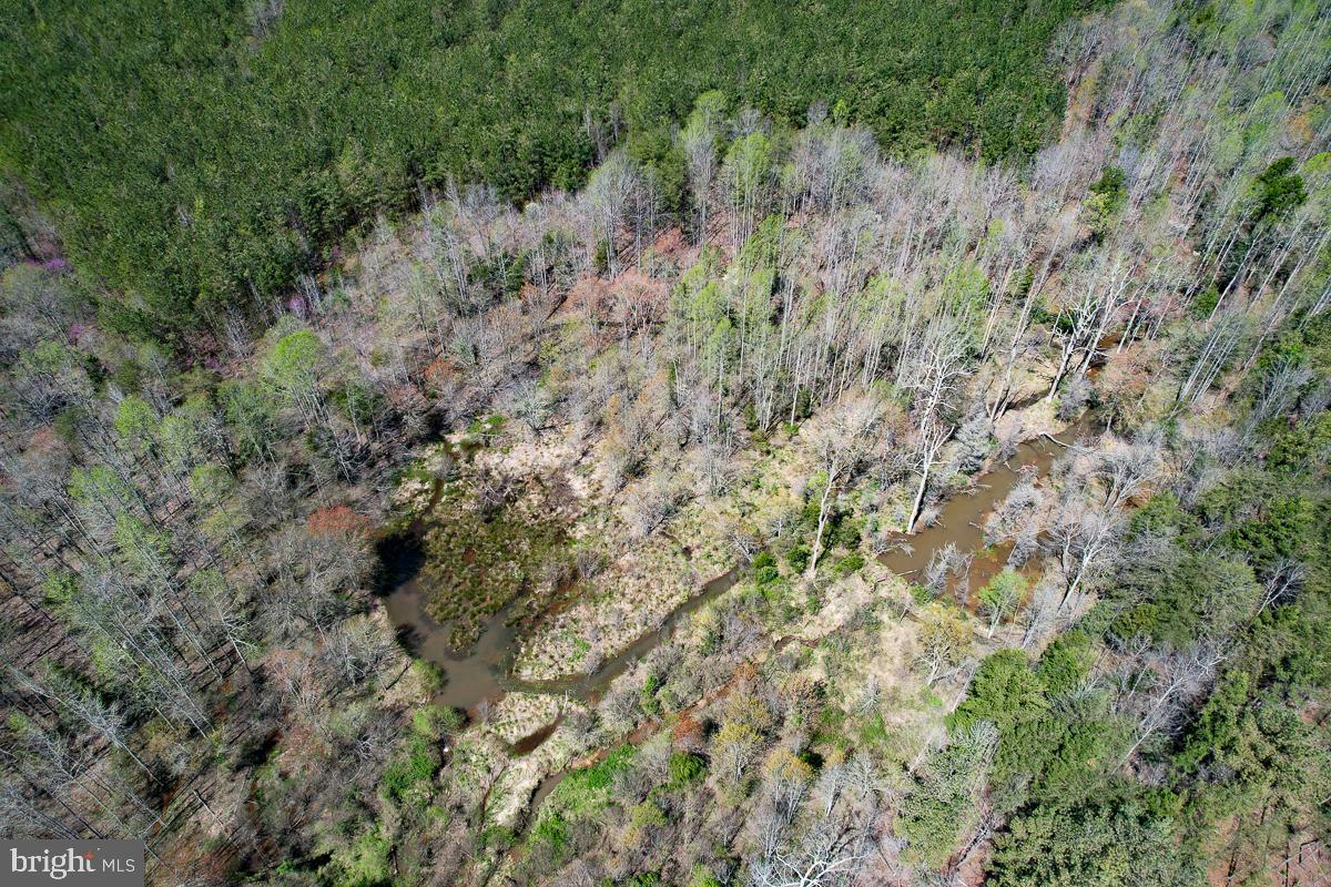 0 GILLIAM MILL RD, DILLWYN, Virginia 23936, ,Farm,For Sale,0 GILLIAM MILL RD,VABH2000238 MLS # VABH2000238