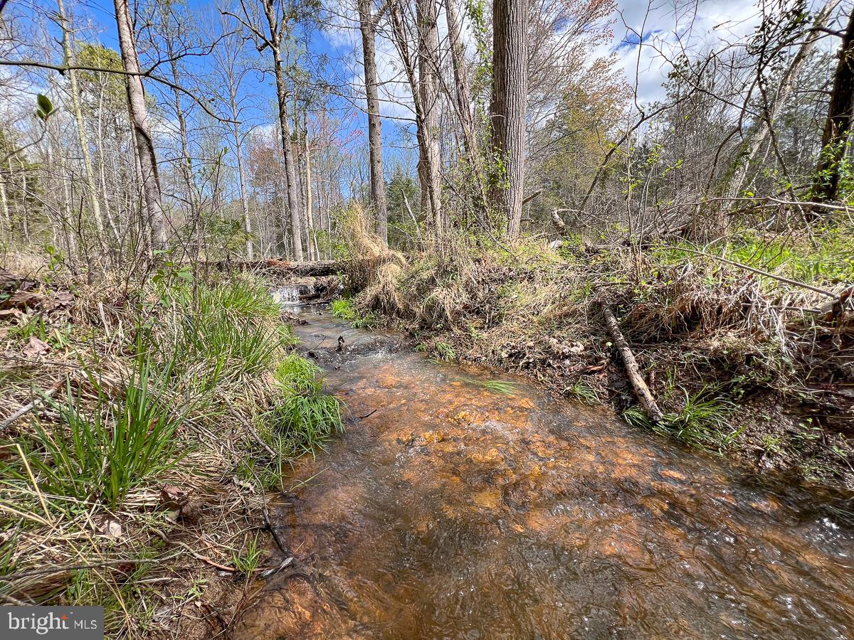 0 GILLIAM MILL RD, DILLWYN, Virginia 23936, ,Farm,For Sale,0 GILLIAM MILL RD,VABH2000238 MLS # VABH2000238