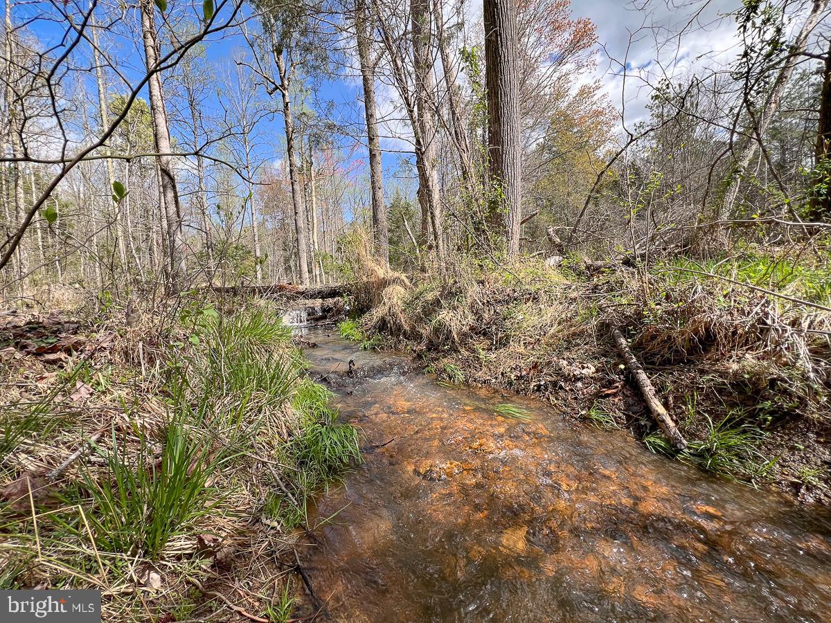 0 GILLIAM MILL RD, DILLWYN, Virginia 23936, ,Farm,For Sale,0 GILLIAM MILL RD,VABH2000238 MLS # VABH2000238