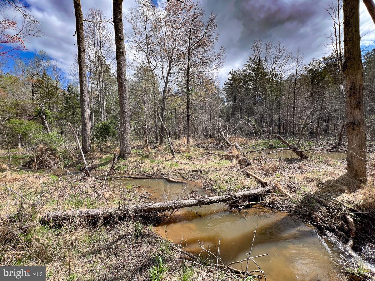 0 GILLIAM MILL RD, DILLWYN, Virginia 23936, ,Farm,For Sale,0 GILLIAM MILL RD,VABH2000238 MLS # VABH2000238