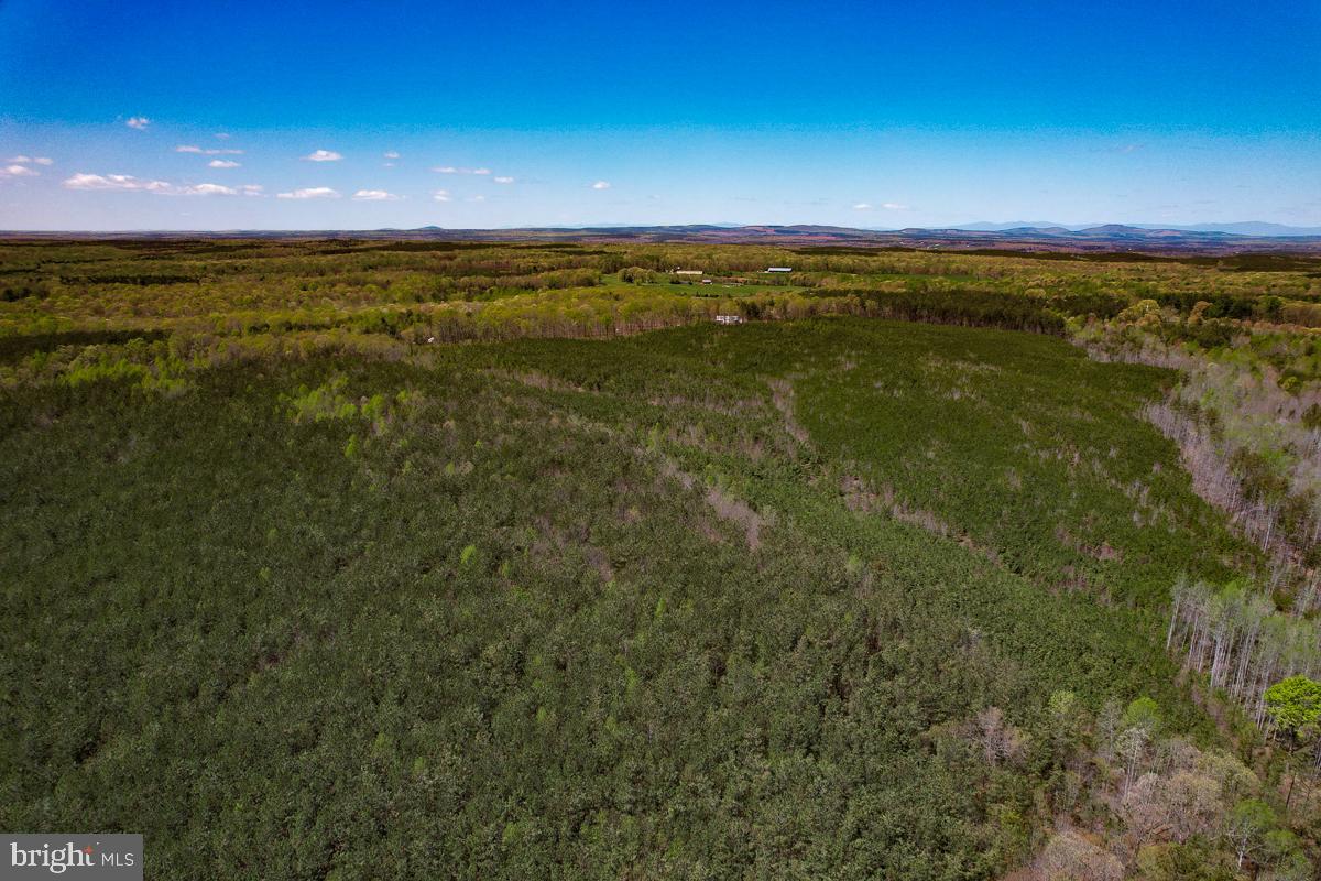 0 GILLIAM MILL RD, DILLWYN, Virginia 23936, ,Farm,For Sale,0 GILLIAM MILL RD,VABH2000238 MLS # VABH2000238