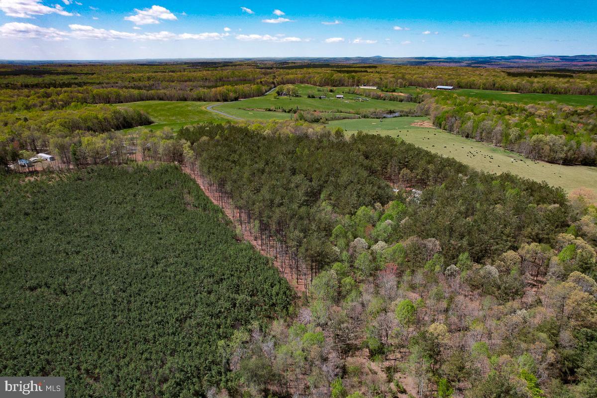 0 GILLIAM MILL RD, DILLWYN, Virginia 23936, ,Farm,For Sale,0 GILLIAM MILL RD,VABH2000238 MLS # VABH2000238