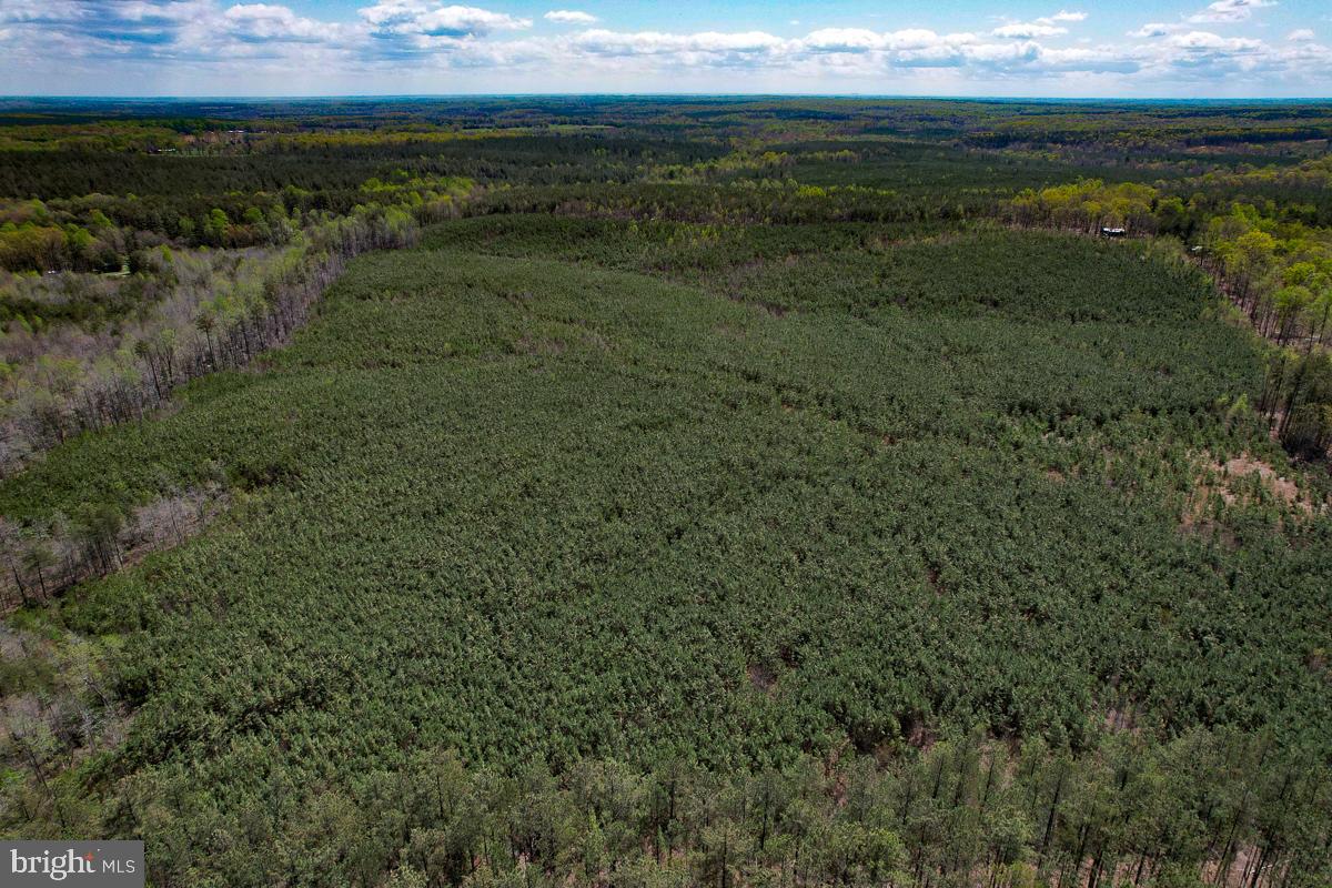 0 GILLIAM MILL RD, DILLWYN, Virginia 23936, ,Farm,For Sale,0 GILLIAM MILL RD,VABH2000238 MLS # VABH2000238