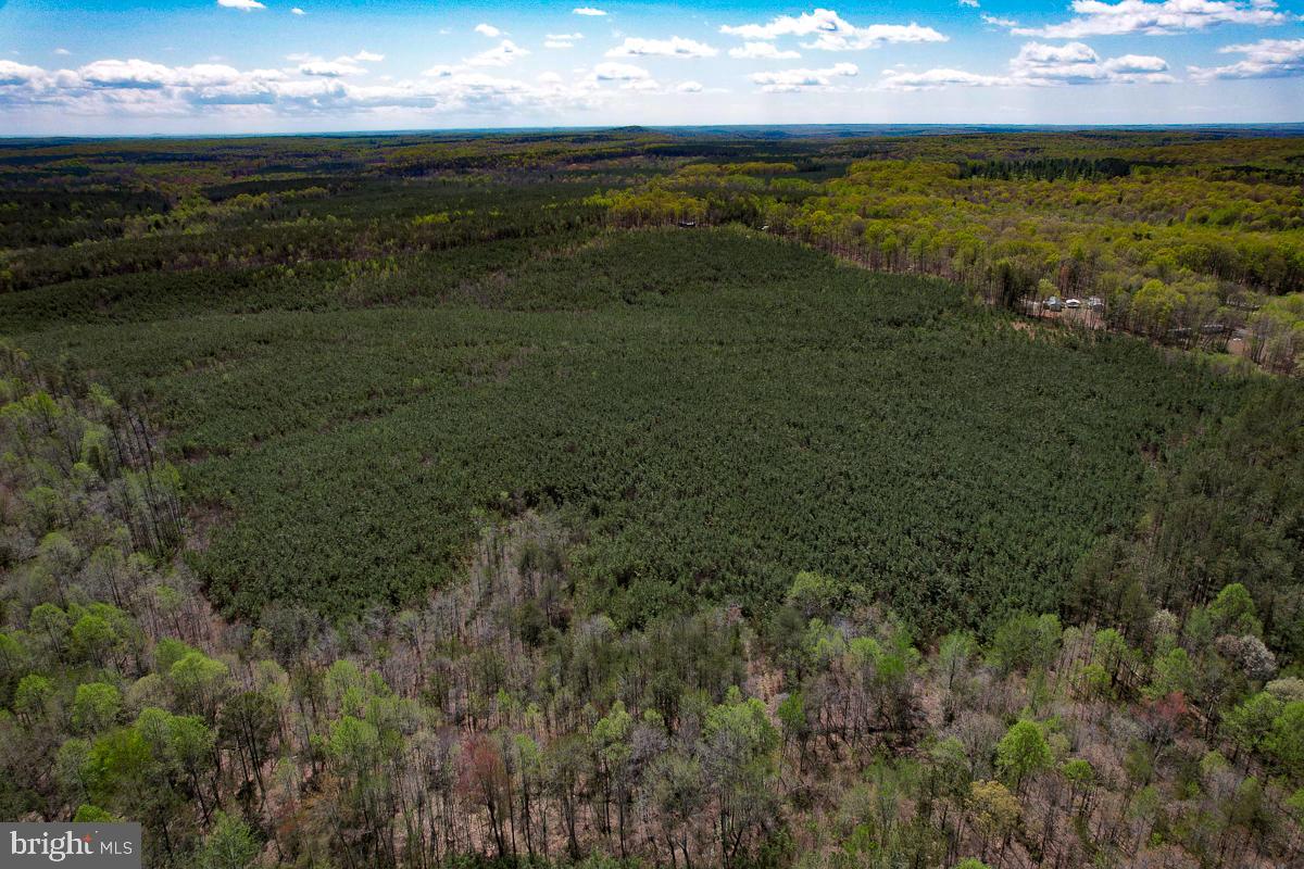 0 GILLIAM MILL RD, DILLWYN, Virginia 23936, ,Farm,For Sale,0 GILLIAM MILL RD,VABH2000238 MLS # VABH2000238