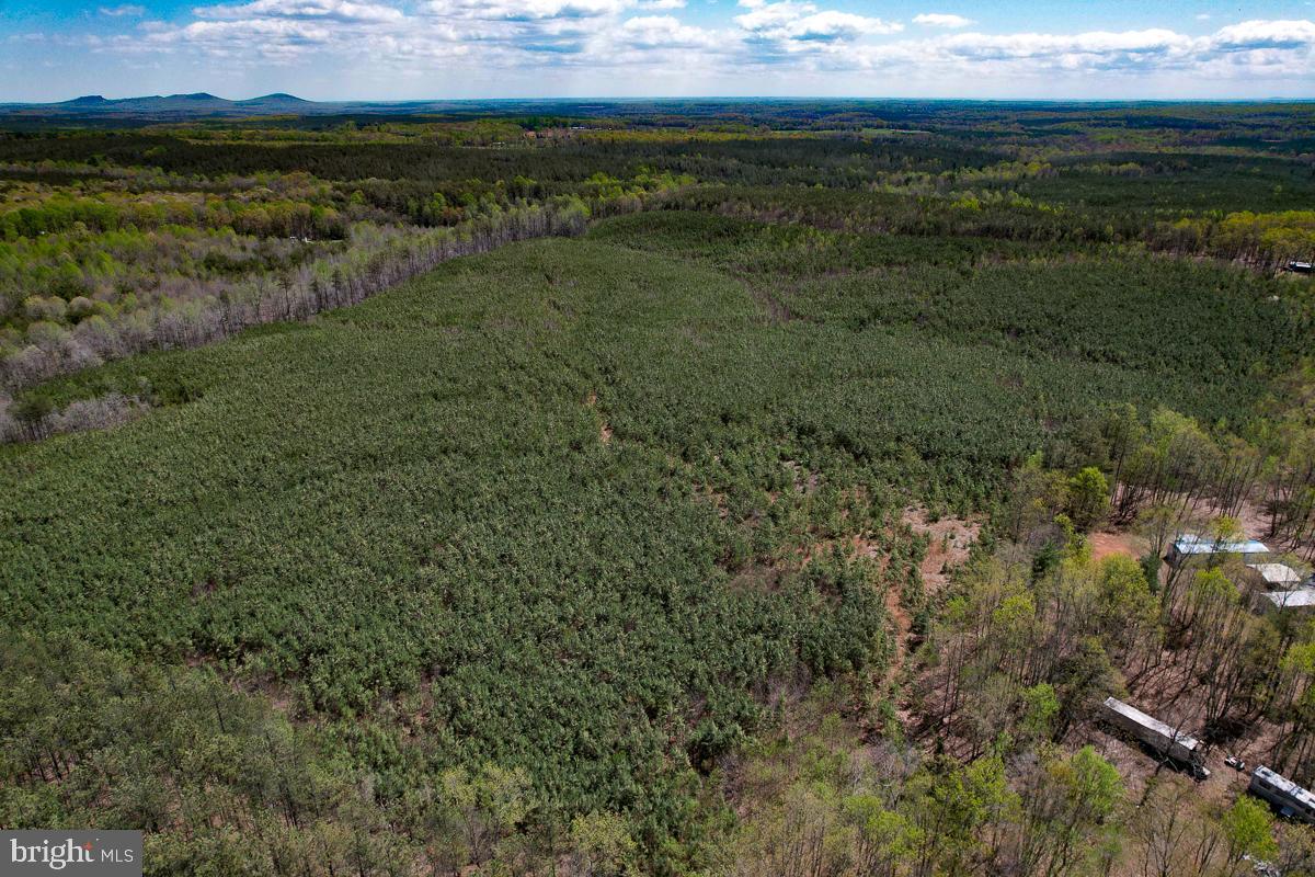 0 GILLIAM MILL RD, DILLWYN, Virginia 23936, ,Farm,For Sale,0 GILLIAM MILL RD,VABH2000238 MLS # VABH2000238