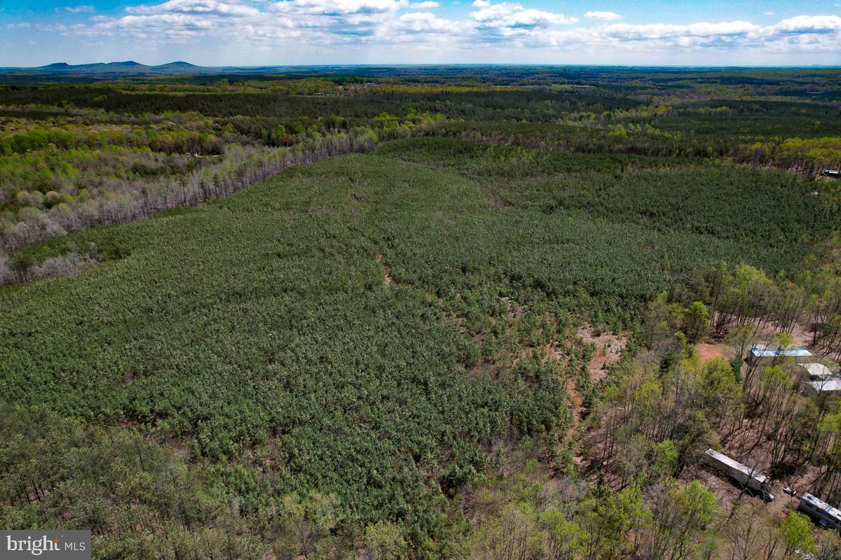 0 GILLIAM MILL RD, DILLWYN, Virginia 23936, ,Farm,For Sale,0 GILLIAM MILL RD,VABH2000238 MLS # VABH2000238