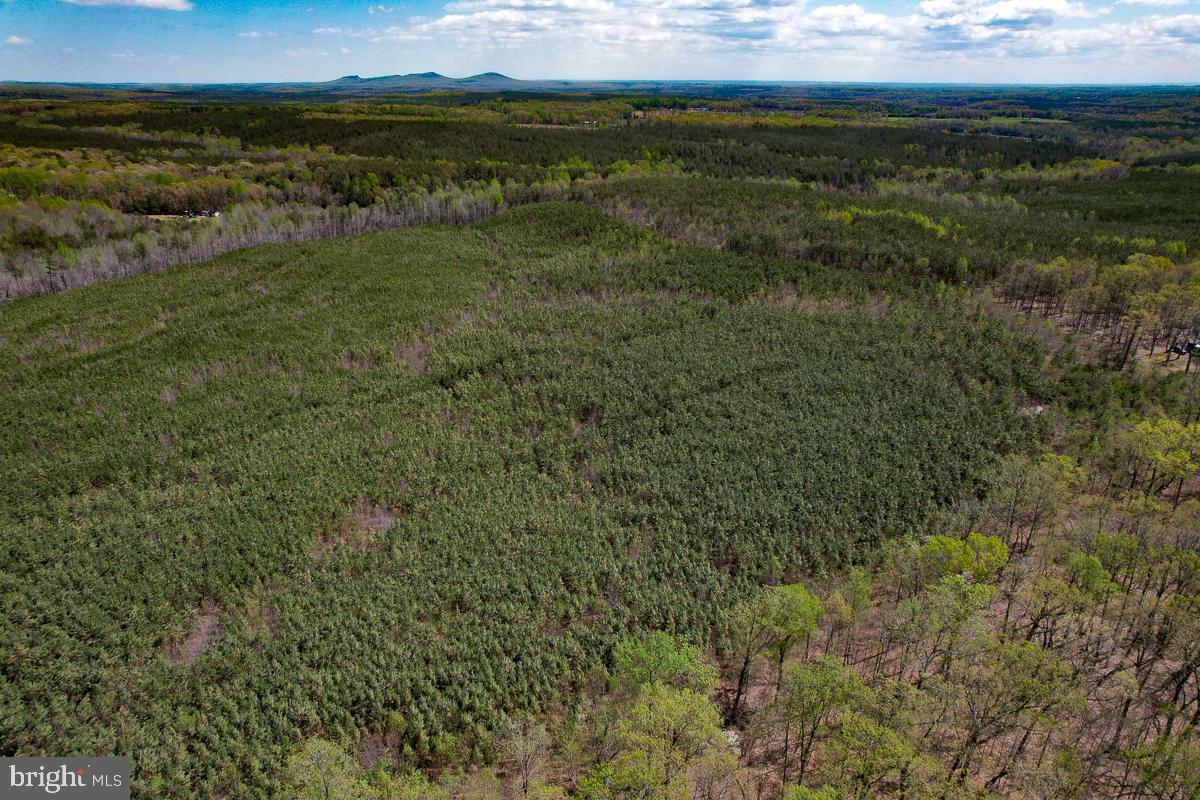 0 GILLIAM MILL RD, DILLWYN, Virginia 23936, ,Farm,For Sale,0 GILLIAM MILL RD,VABH2000238 MLS # VABH2000238