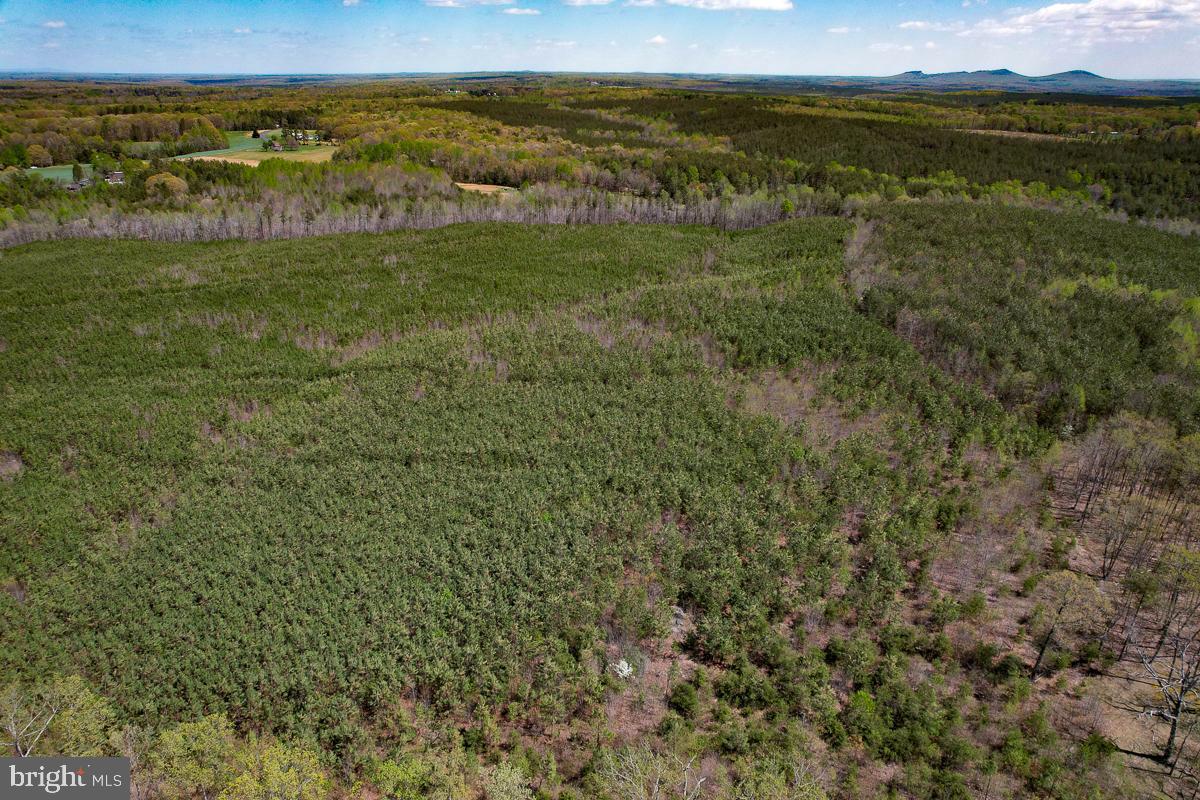 0 GILLIAM MILL RD, DILLWYN, Virginia 23936, ,Farm,For Sale,0 GILLIAM MILL RD,VABH2000238 MLS # VABH2000238