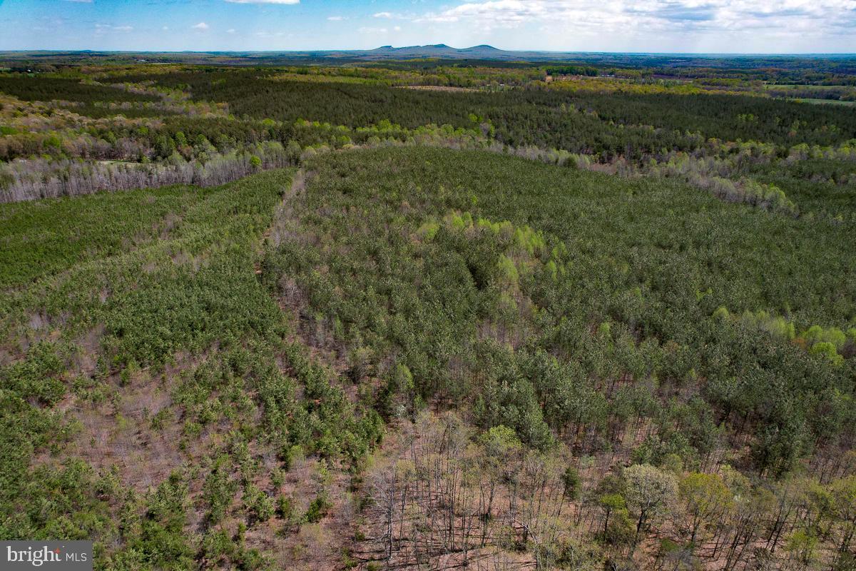 0 GILLIAM MILL RD, DILLWYN, Virginia 23936, ,Farm,For Sale,0 GILLIAM MILL RD,VABH2000238 MLS # VABH2000238