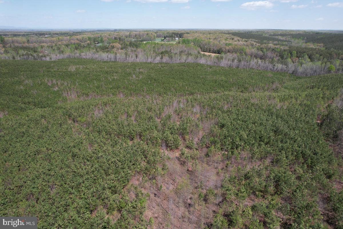 0 GILLIAM MILL RD, DILLWYN, Virginia 23936, ,Farm,For Sale,0 GILLIAM MILL RD,VABH2000238 MLS # VABH2000238