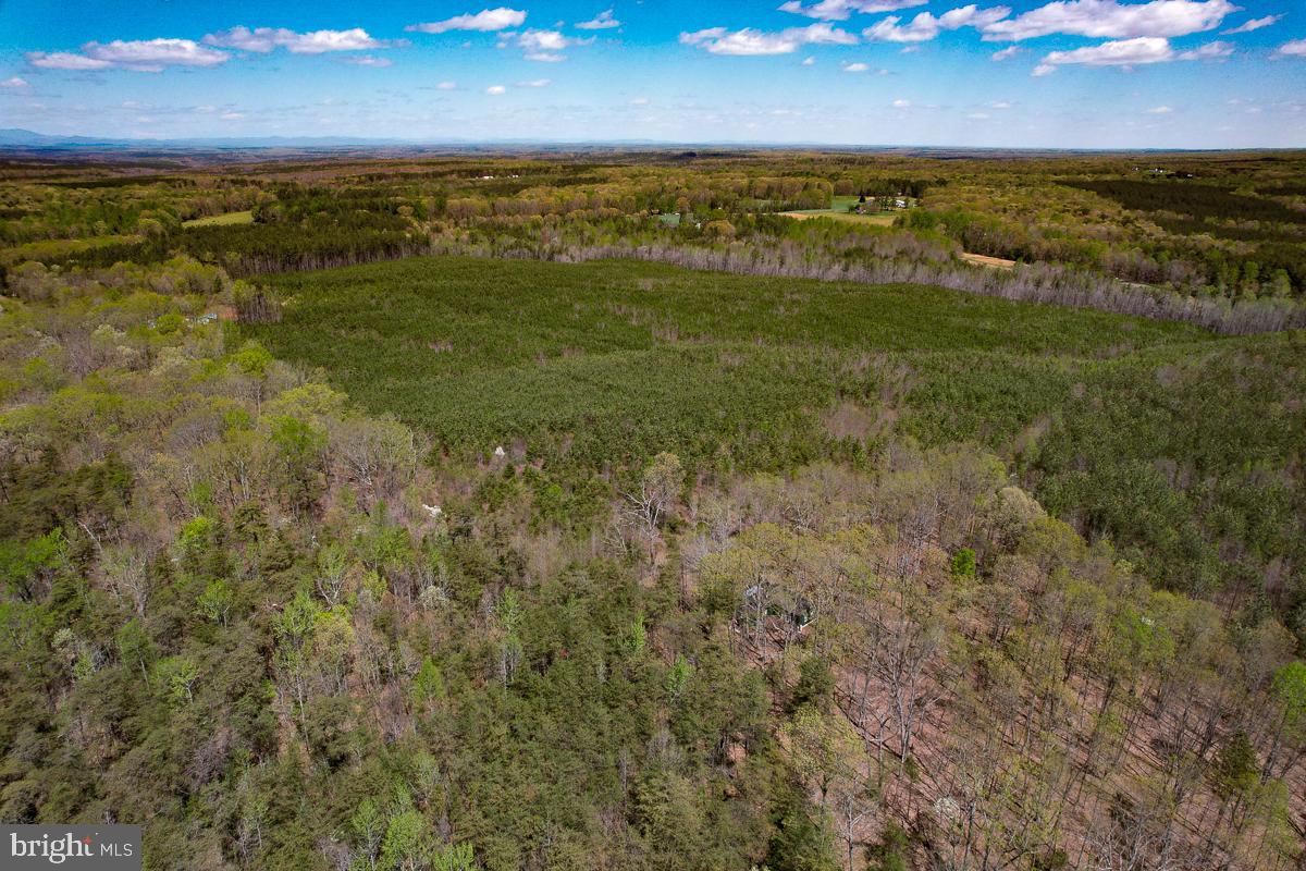 0 GILLIAM MILL RD, DILLWYN, Virginia 23936, ,Farm,For Sale,0 GILLIAM MILL RD,VABH2000238 MLS # VABH2000238