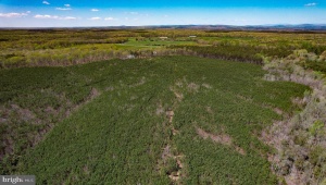 0 GILLIAM MILL RD DILLWYN Virginia 23936