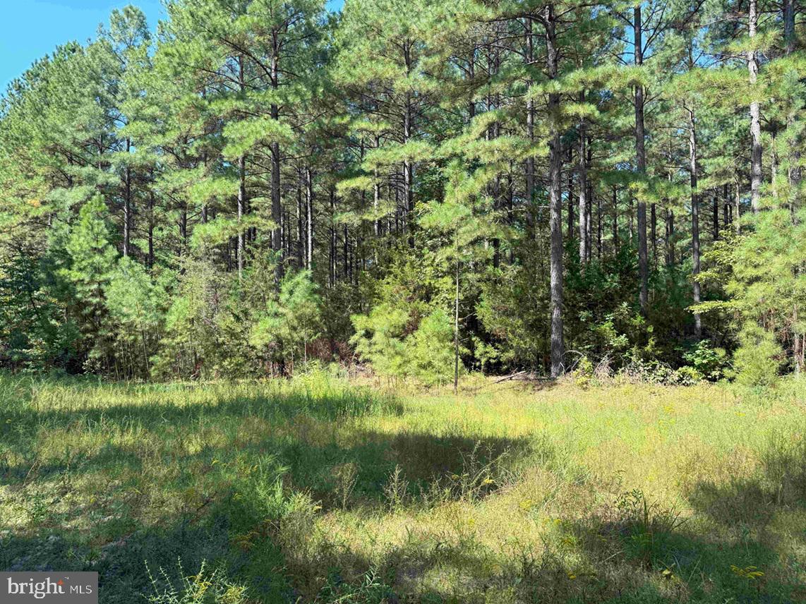 COMMUNITY HOUSE ROAD (TRACT: JR RAGLAND-HOLLAND-2), COLUMBIA, Virginia 23038, ,Farm,For Sale,COMMUNITY HOUSE ROAD (TRACT: JR RAGLAND-HOLLAND-2),VAFN2000510 MLS # VAFN2000510