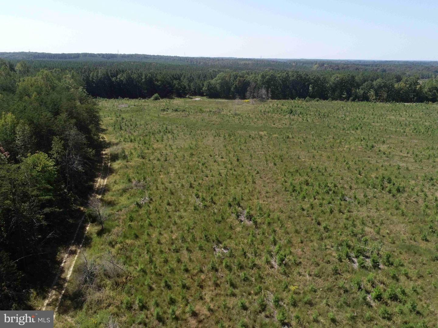 COMMUNITY HOUSE ROAD (TRACT: JR RAGLAND-HOLLAND-2), COLUMBIA, Virginia 23038, ,Farm,For Sale,COMMUNITY HOUSE ROAD (TRACT: JR RAGLAND-HOLLAND-2),VAFN2000510 MLS # VAFN2000510