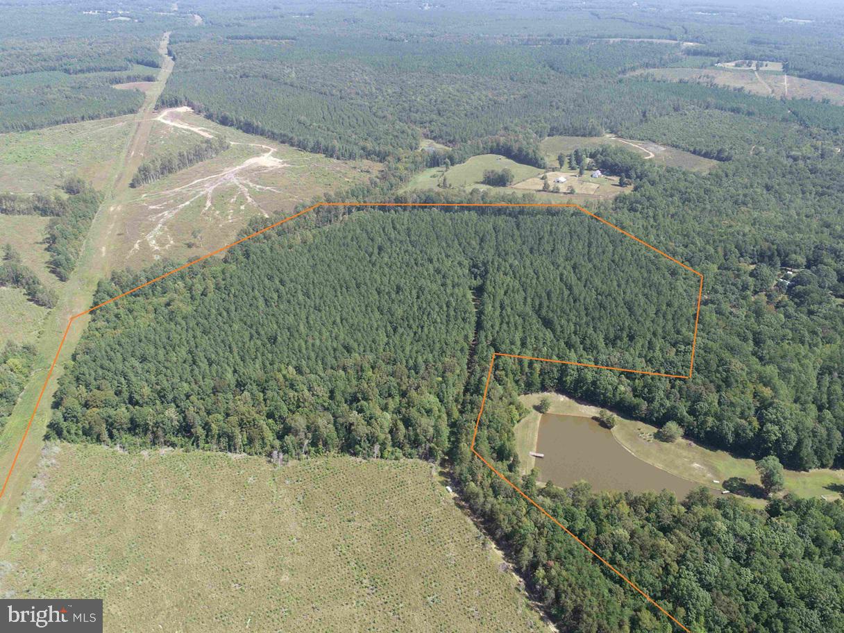 COMMUNITY HOUSE ROAD (TRACT: JR RAGLAND-HOLLAND-2), COLUMBIA, Virginia 23038, ,Farm,For Sale,COMMUNITY HOUSE ROAD (TRACT: JR RAGLAND-HOLLAND-2),VAFN2000510 MLS # VAFN2000510