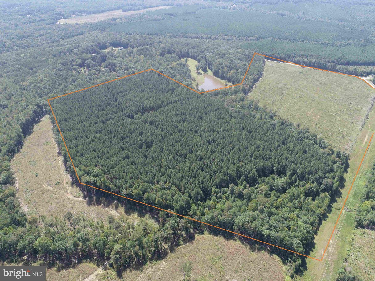 COMMUNITY HOUSE ROAD (TRACT: JR RAGLAND-HOLLAND-2), COLUMBIA, Virginia 23038, ,Farm,For Sale,COMMUNITY HOUSE ROAD (TRACT: JR RAGLAND-HOLLAND-2),VAFN2000510 MLS # VAFN2000510