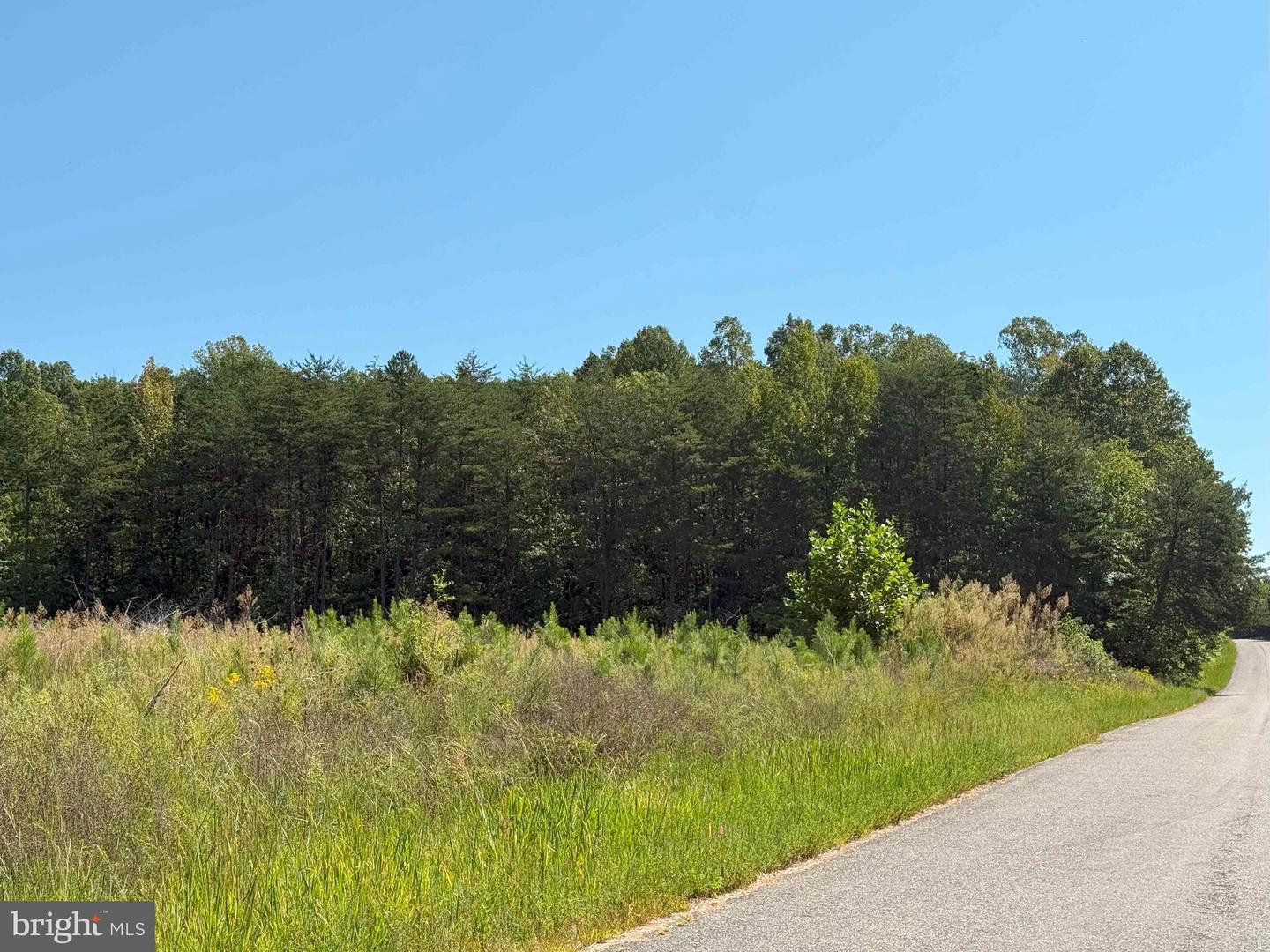 COMMUNITY HOUSE ROAD (TRACT: JR RAGLAND-HOLLAND-2), COLUMBIA, Virginia 23038, ,Farm,For Sale,COMMUNITY HOUSE ROAD (TRACT: JR RAGLAND-HOLLAND-2),VAFN2000510 MLS # VAFN2000510