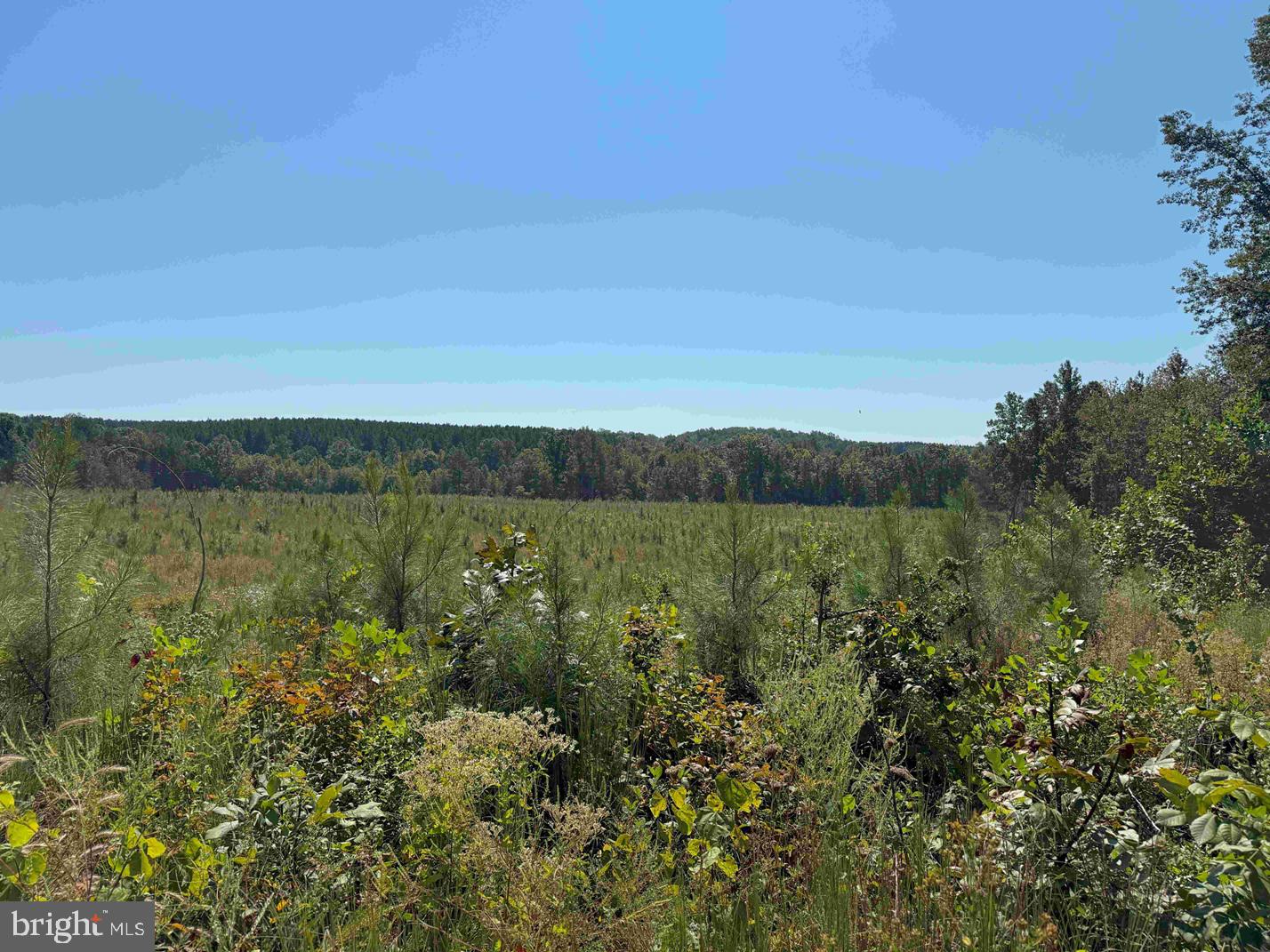 COMMUNITY HOUSE ROAD (TRACT: JR RAGLAND-HOLLAND-2), COLUMBIA, Virginia 23038, ,Farm,For Sale,COMMUNITY HOUSE ROAD (TRACT: JR RAGLAND-HOLLAND-2),VAFN2000510 MLS # VAFN2000510