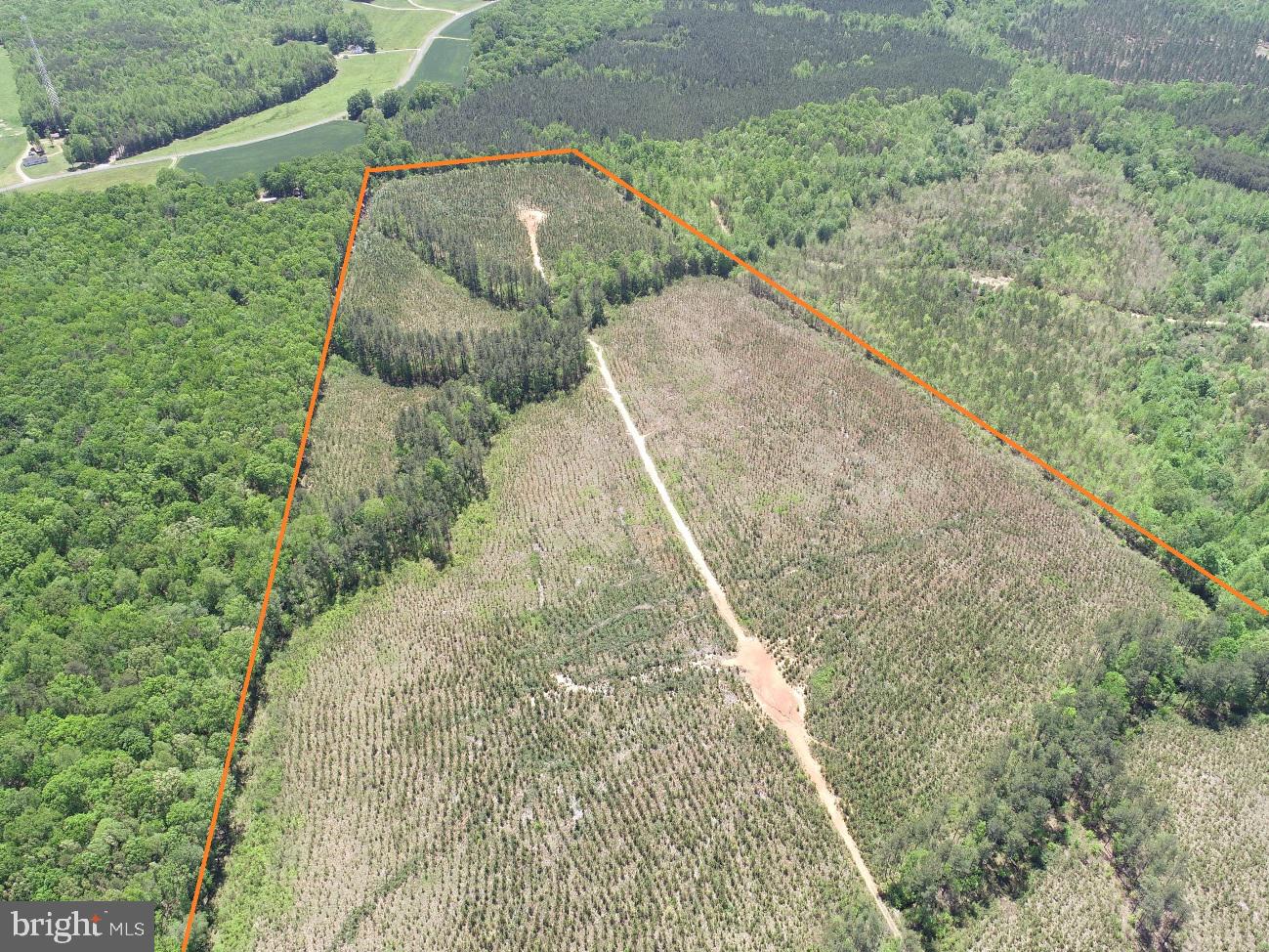 W POINT STEVENS ROAD (RT. 623) (TRACT: BK1443-1 ), DRAKES BRANCH, Virginia 23937, ,Farm,For Sale,W POINT STEVENS ROAD (RT. 623) (TRACT: BK1443-1 ),VACE2000016 MLS # VACE2000016