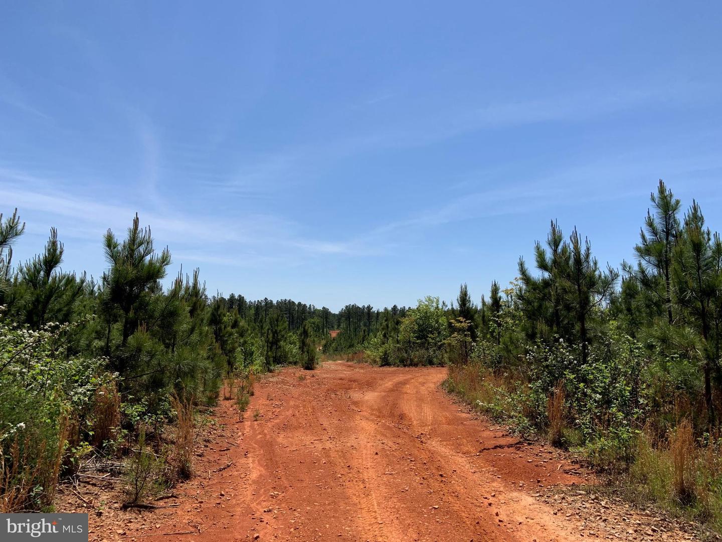 W POINT STEVENS ROAD (RT. 623) (TRACT: BK1443-1 ), DRAKES BRANCH, Virginia 23937, ,Farm,For Sale,W POINT STEVENS ROAD (RT. 623) (TRACT: BK1443-1 ),VACE2000016 MLS # VACE2000016