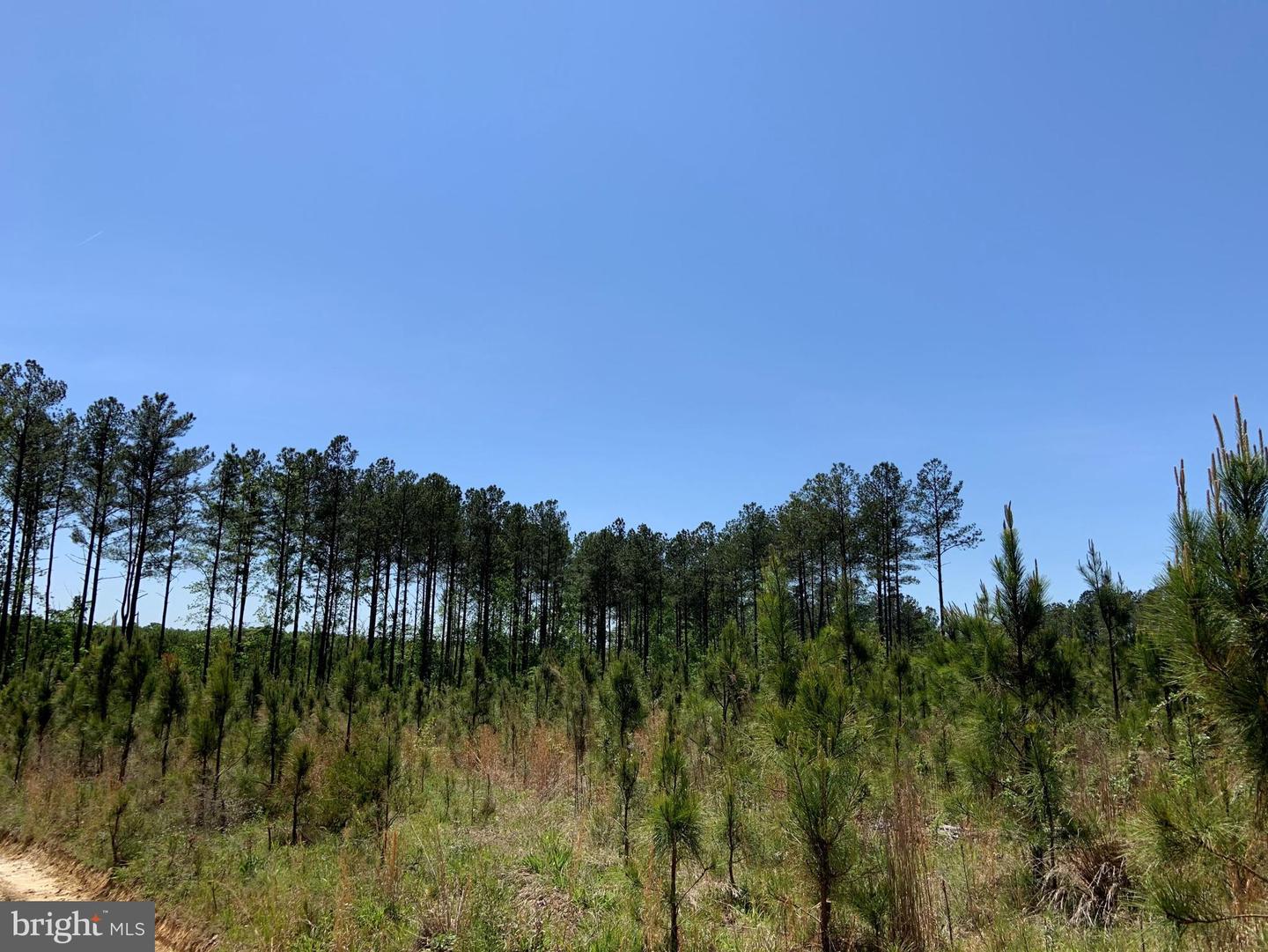 W POINT STEVENS ROAD (RT. 623) (TRACT: BK1443-1 ), DRAKES BRANCH, Virginia 23937, ,Farm,For Sale,W POINT STEVENS ROAD (RT. 623) (TRACT: BK1443-1 ),VACE2000016 MLS # VACE2000016