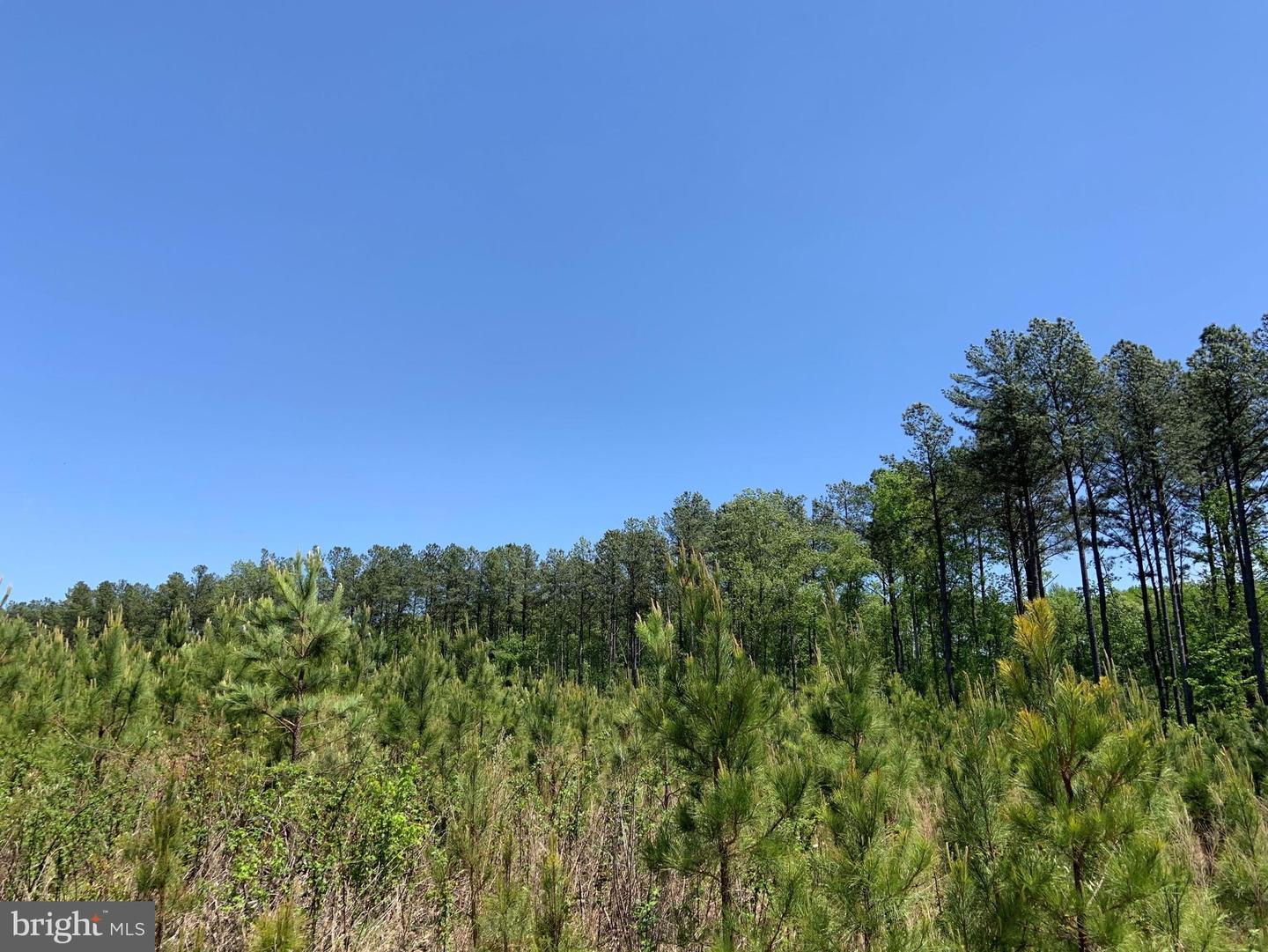 W POINT STEVENS ROAD (RT. 623) (TRACT: BK1443-1 ), DRAKES BRANCH, Virginia 23937, ,Farm,For Sale,W POINT STEVENS ROAD (RT. 623) (TRACT: BK1443-1 ),VACE2000016 MLS # VACE2000016