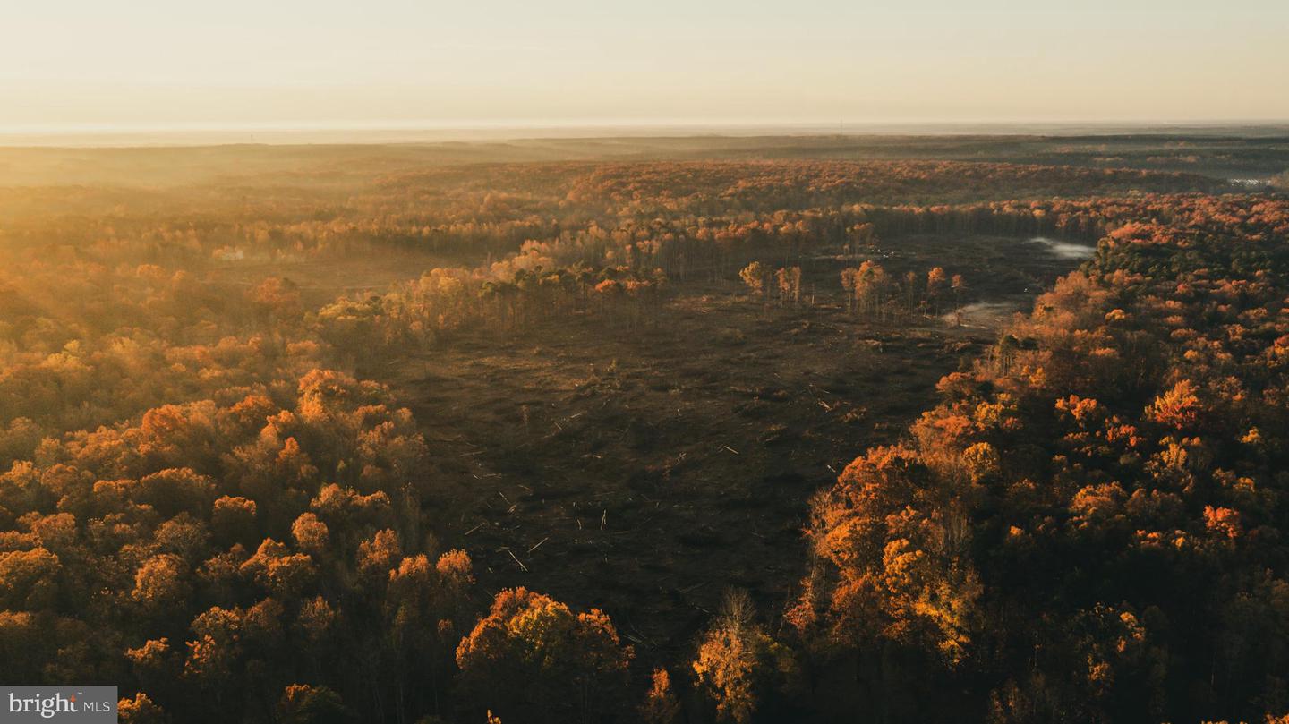 12600 W CATHARPIN RD, SPOTSYLVANIA, Virginia 22551, ,Farm,For Sale,12600 W CATHARPIN RD,VASP2037526 MLS # VASP2037526