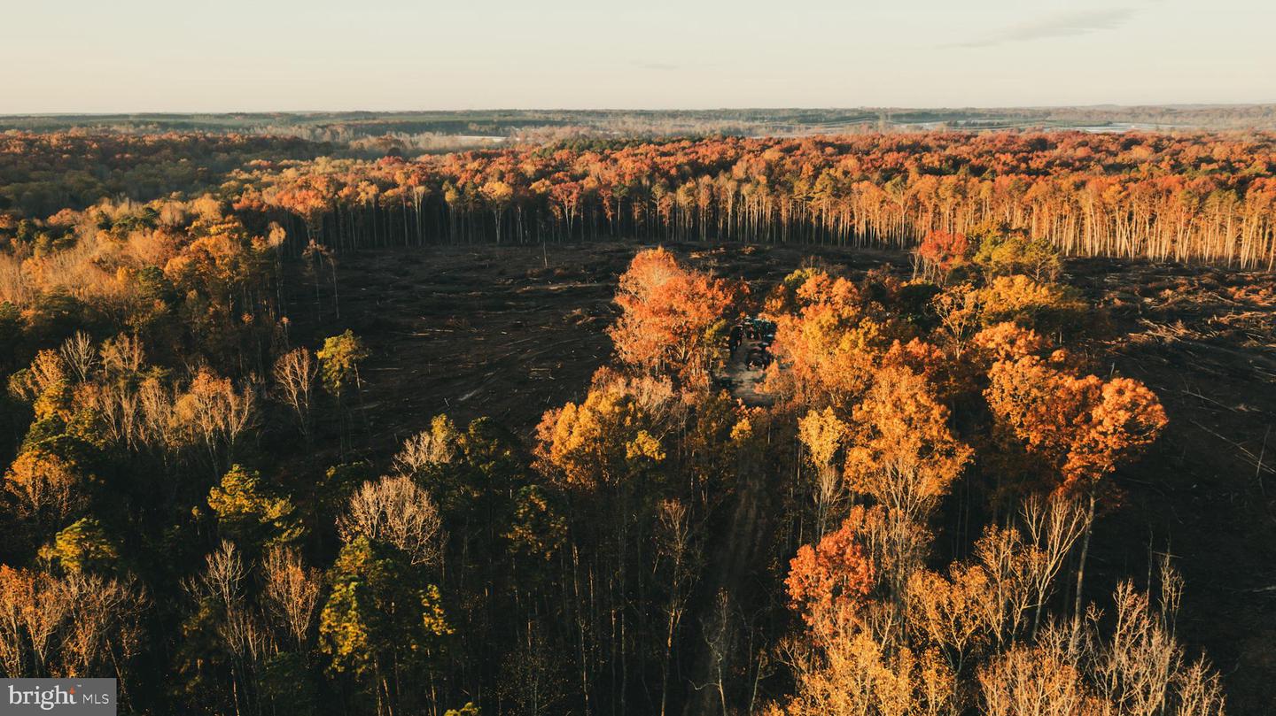 12600 W CATHARPIN RD, SPOTSYLVANIA, Virginia 22551, ,Farm,For Sale,12600 W CATHARPIN RD,VASP2037526 MLS # VASP2037526