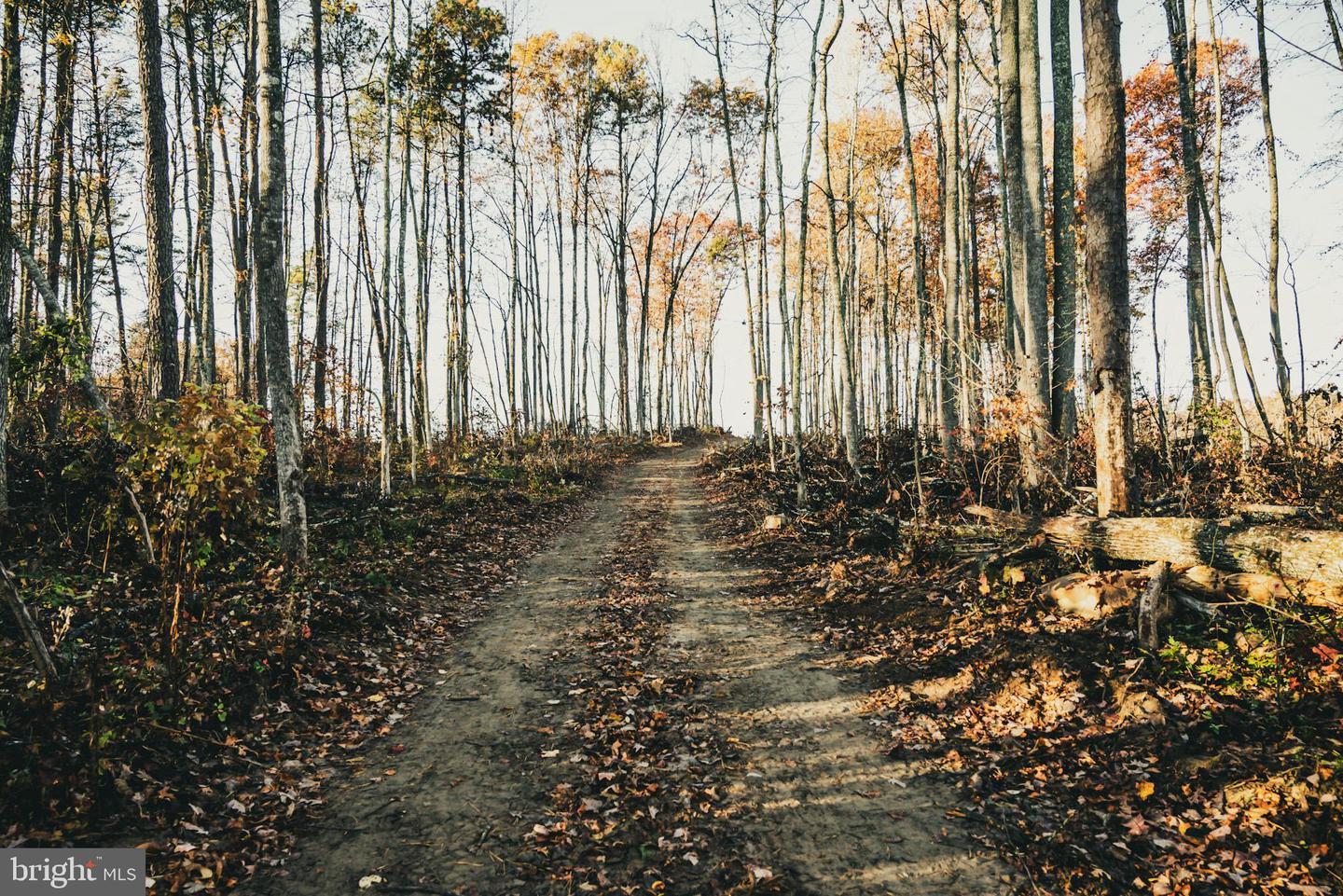 12600 W CATHARPIN RD, SPOTSYLVANIA, Virginia 22551, ,Farm,For Sale,12600 W CATHARPIN RD,VASP2037526 MLS # VASP2037526