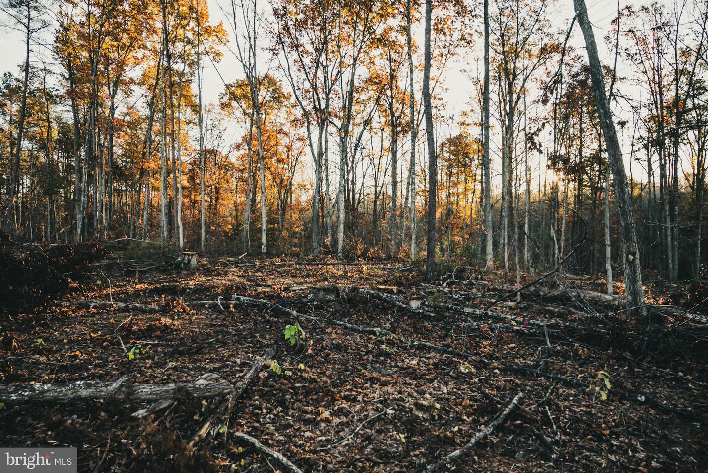 12600 W CATHARPIN RD, SPOTSYLVANIA, Virginia 22551, ,Farm,For Sale,12600 W CATHARPIN RD,VASP2037526 MLS # VASP2037526