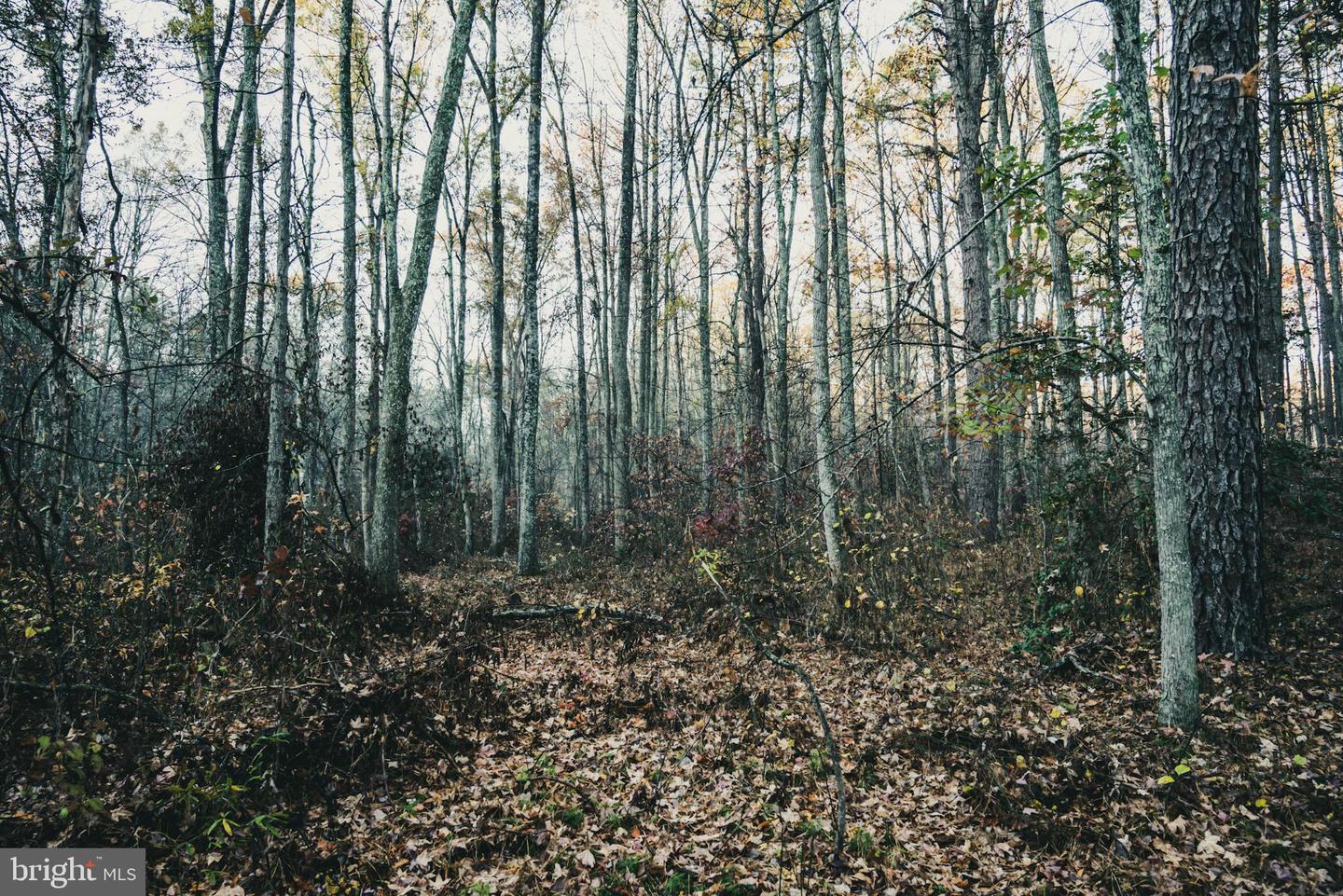 12600 W CATHARPIN RD, SPOTSYLVANIA, Virginia 22551, ,Farm,For Sale,12600 W CATHARPIN RD,VASP2037526 MLS # VASP2037526