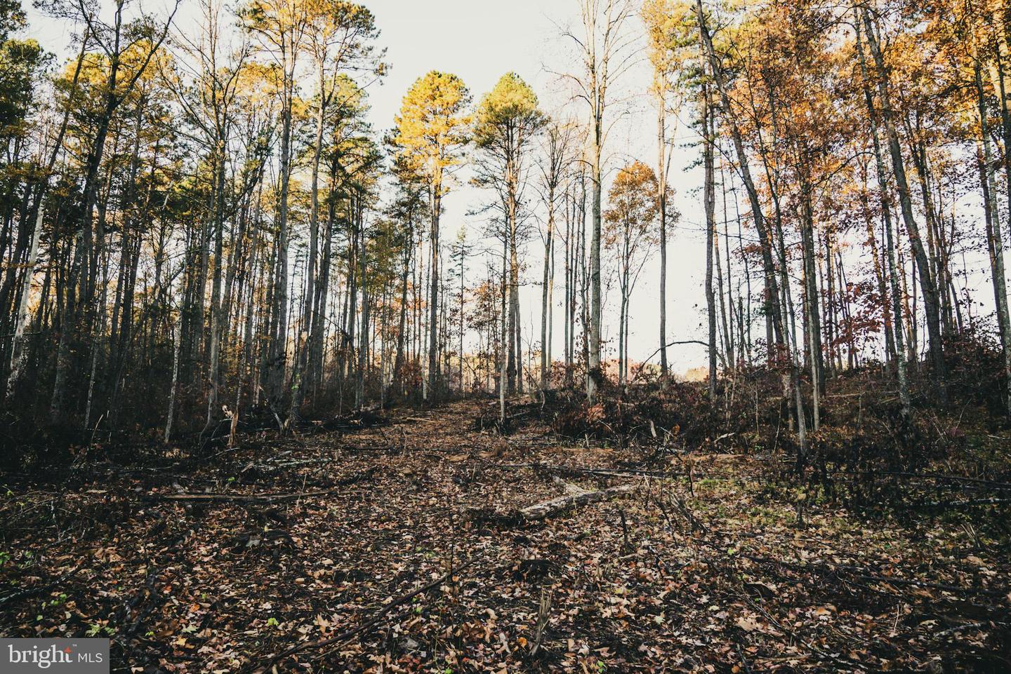 12600 W CATHARPIN RD, SPOTSYLVANIA, Virginia 22551, ,Farm,For Sale,12600 W CATHARPIN RD,VASP2037526 MLS # VASP2037526