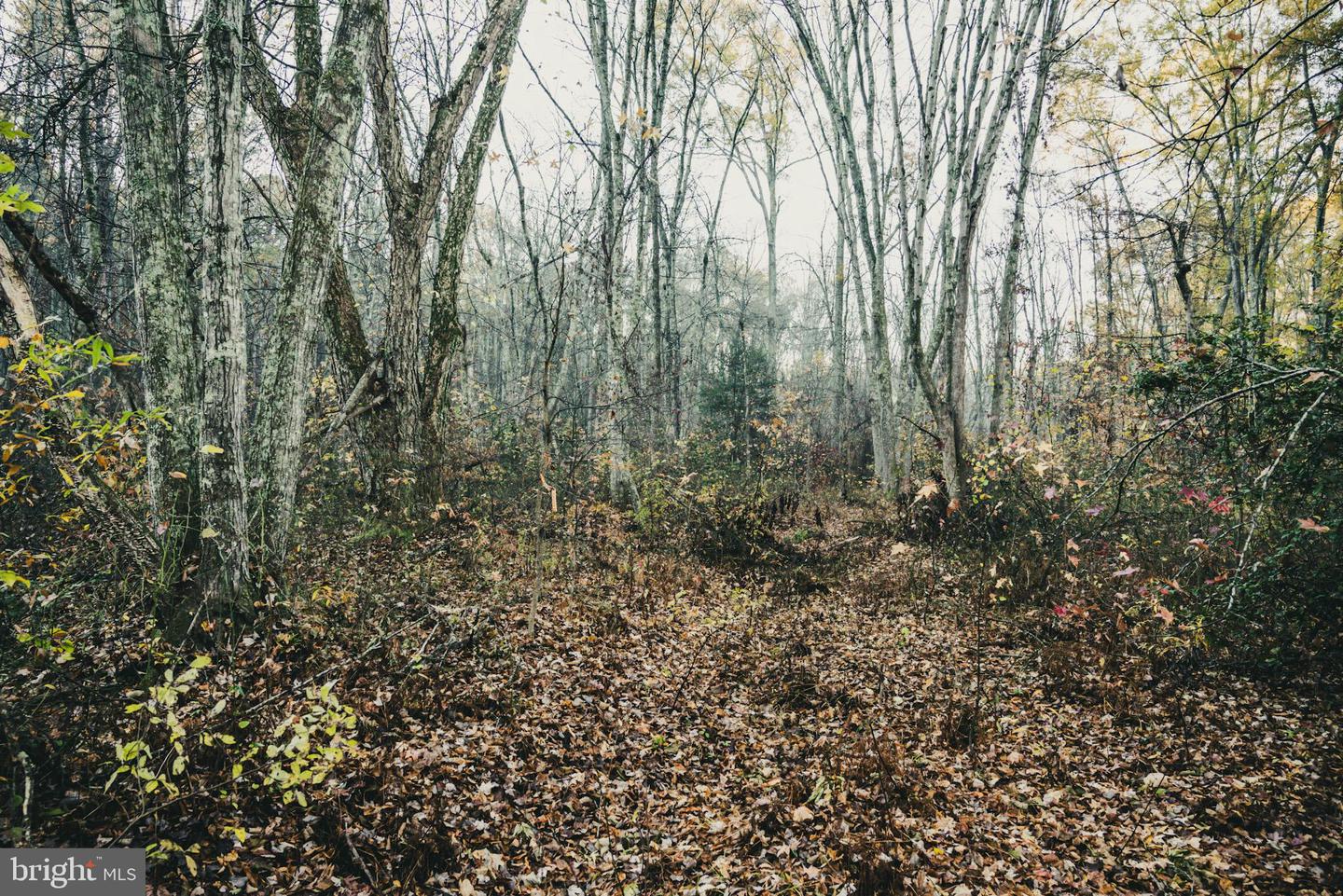 12600 W CATHARPIN RD, SPOTSYLVANIA, Virginia 22551, ,Farm,For Sale,12600 W CATHARPIN RD,VASP2037526 MLS # VASP2037526