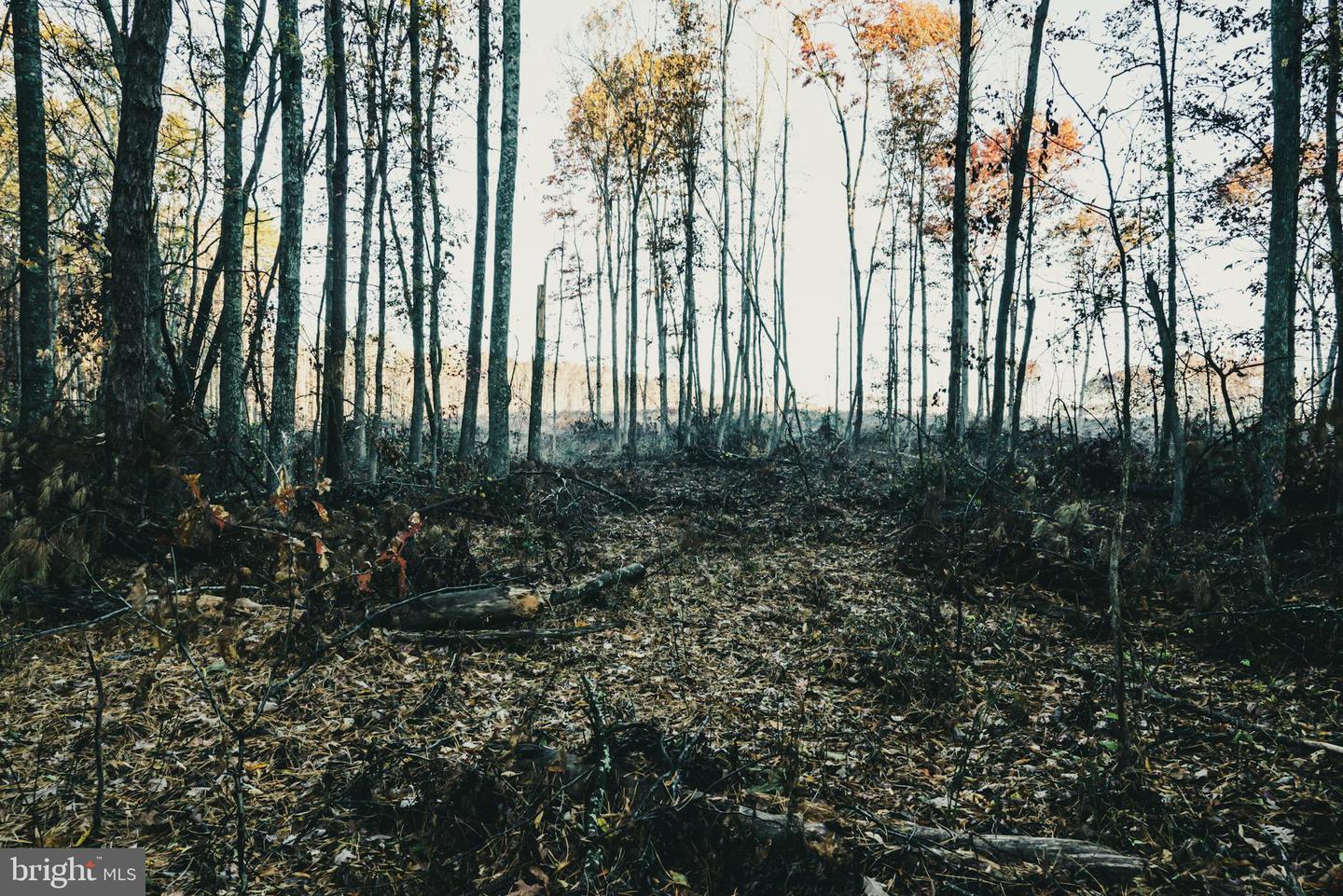 12600 W CATHARPIN RD, SPOTSYLVANIA, Virginia 22551, ,Farm,For Sale,12600 W CATHARPIN RD,VASP2037526 MLS # VASP2037526