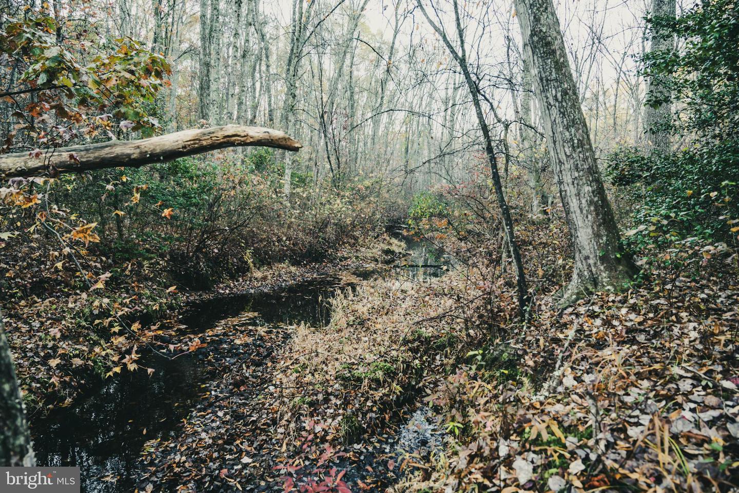 12600 W CATHARPIN RD, SPOTSYLVANIA, Virginia 22551, ,Farm,For Sale,12600 W CATHARPIN RD,VASP2037526 MLS # VASP2037526