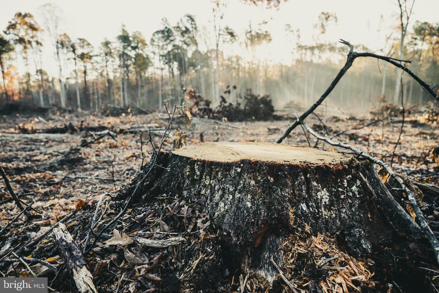 12600 W CATHARPIN RD, SPOTSYLVANIA, Virginia 22551, ,Farm,For Sale,12600 W CATHARPIN RD,VASP2037526 MLS # VASP2037526