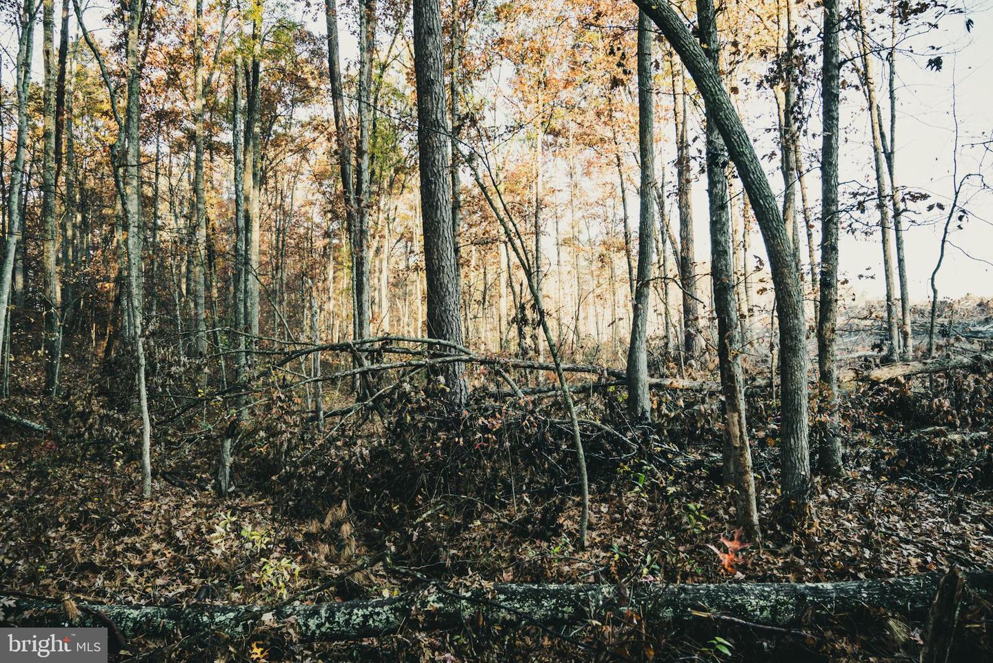 12600 W CATHARPIN RD, SPOTSYLVANIA, Virginia 22551, ,Farm,For Sale,12600 W CATHARPIN RD,VASP2037526 MLS # VASP2037526