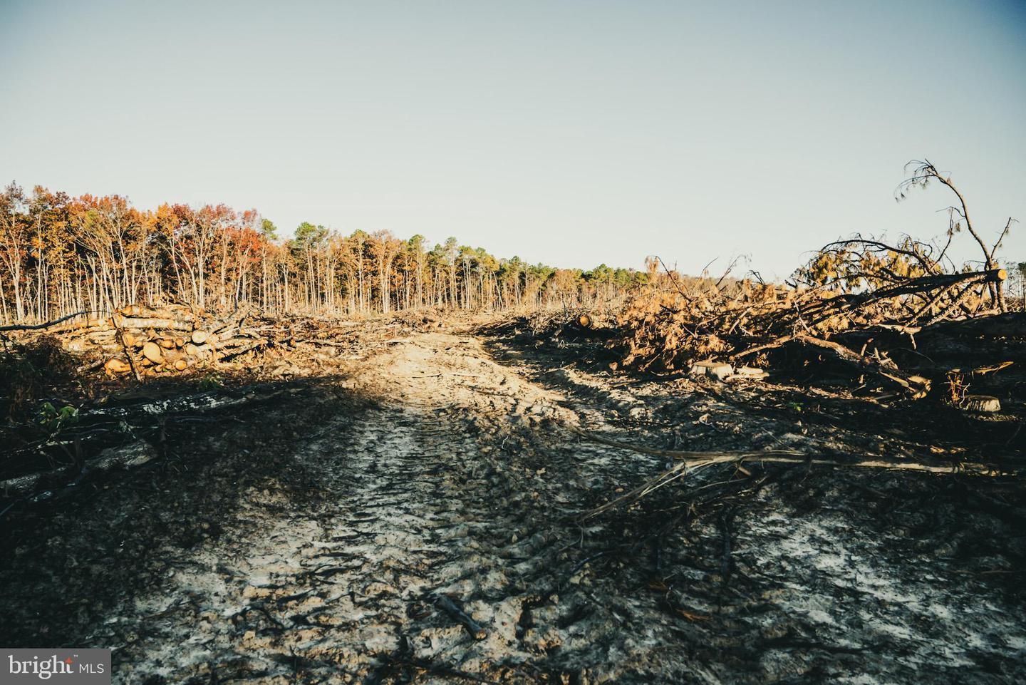 12600 W CATHARPIN RD, SPOTSYLVANIA, Virginia 22551, ,Farm,For Sale,12600 W CATHARPIN RD,VASP2037526 MLS # VASP2037526