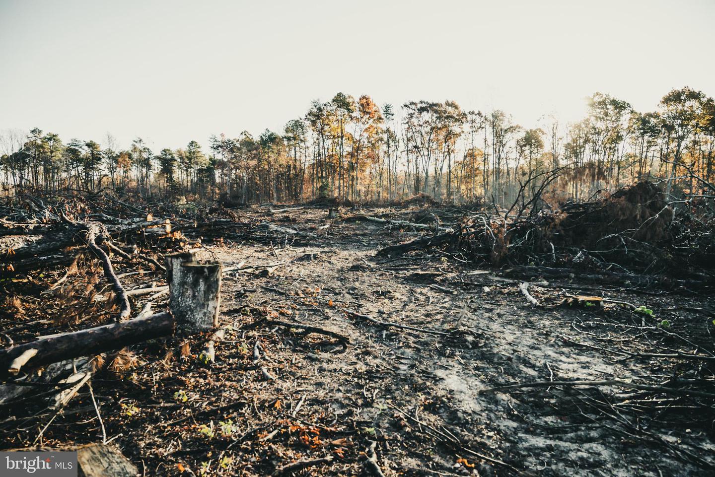 12600 W CATHARPIN RD, SPOTSYLVANIA, Virginia 22551, ,Farm,For Sale,12600 W CATHARPIN RD,VASP2037526 MLS # VASP2037526