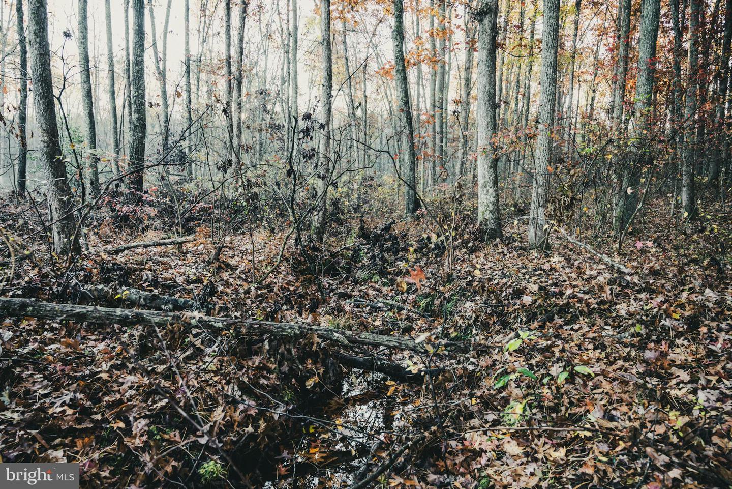 12600 W CATHARPIN RD, SPOTSYLVANIA, Virginia 22551, ,Farm,For Sale,12600 W CATHARPIN RD,VASP2037526 MLS # VASP2037526