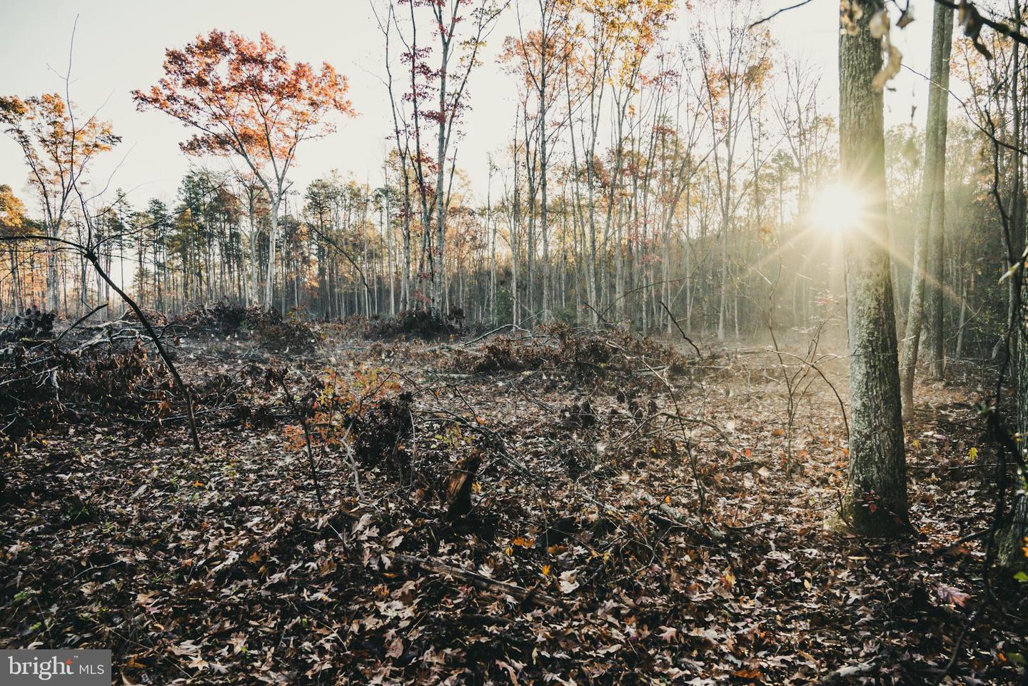 12600 W CATHARPIN RD, SPOTSYLVANIA, Virginia 22551, ,Farm,For Sale,12600 W CATHARPIN RD,VASP2037526 MLS # VASP2037526