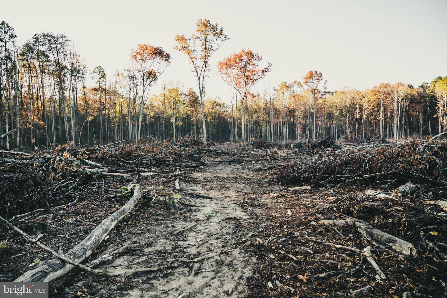 12600 W CATHARPIN RD, SPOTSYLVANIA, Virginia 22551, ,Farm,For Sale,12600 W CATHARPIN RD,VASP2037526 MLS # VASP2037526