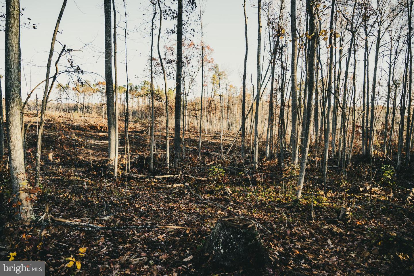 12600 W CATHARPIN RD, SPOTSYLVANIA, Virginia 22551, ,Farm,For Sale,12600 W CATHARPIN RD,VASP2037526 MLS # VASP2037526