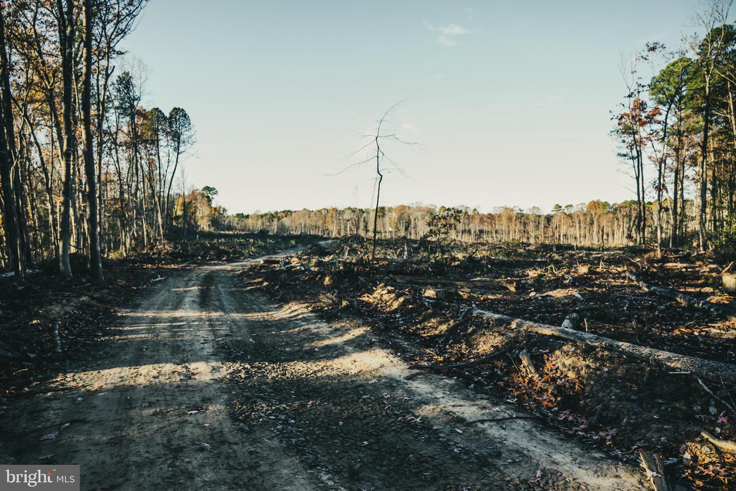 12600 W CATHARPIN RD, SPOTSYLVANIA, Virginia 22551, ,Farm,For Sale,12600 W CATHARPIN RD,VASP2037526 MLS # VASP2037526