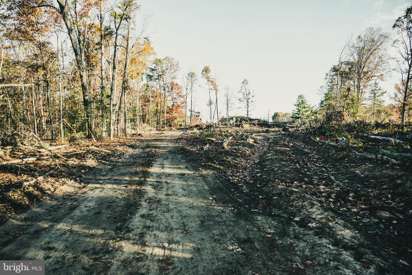 12600 W CATHARPIN RD, SPOTSYLVANIA, Virginia 22551, ,Farm,For Sale,12600 W CATHARPIN RD,VASP2037526 MLS # VASP2037526